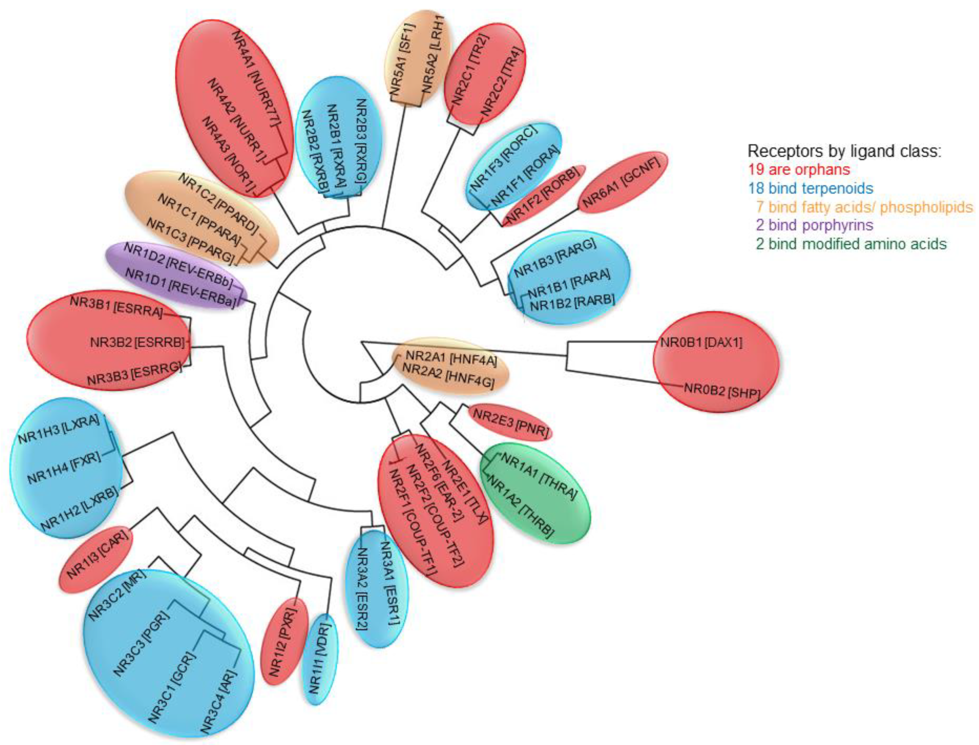 Cells 09 02606 g002 Cells 09 02606 g002