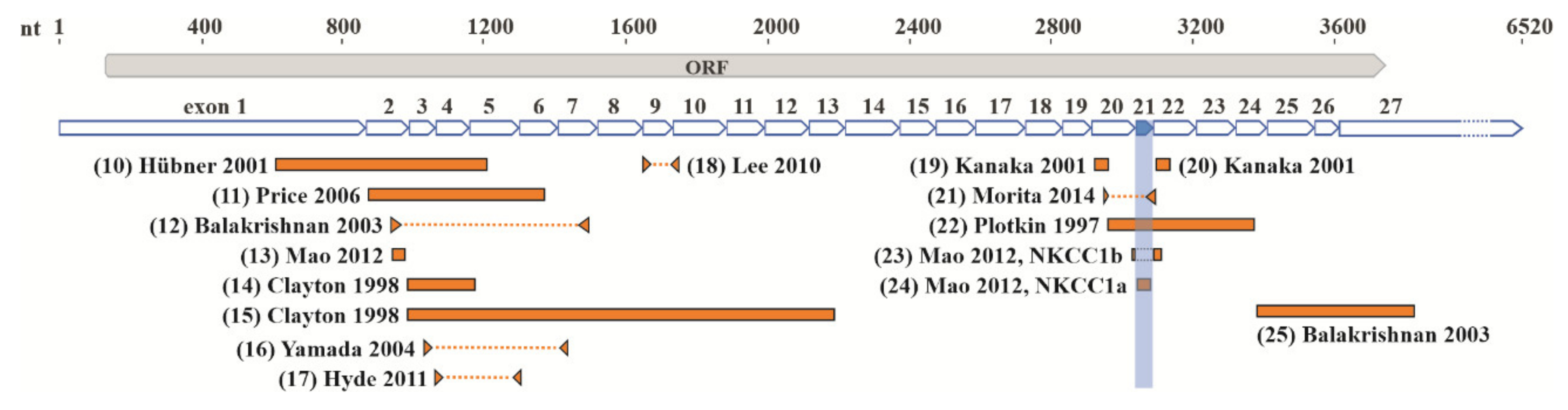 Cells 09 02607 g002 Cells 09 02607 g002