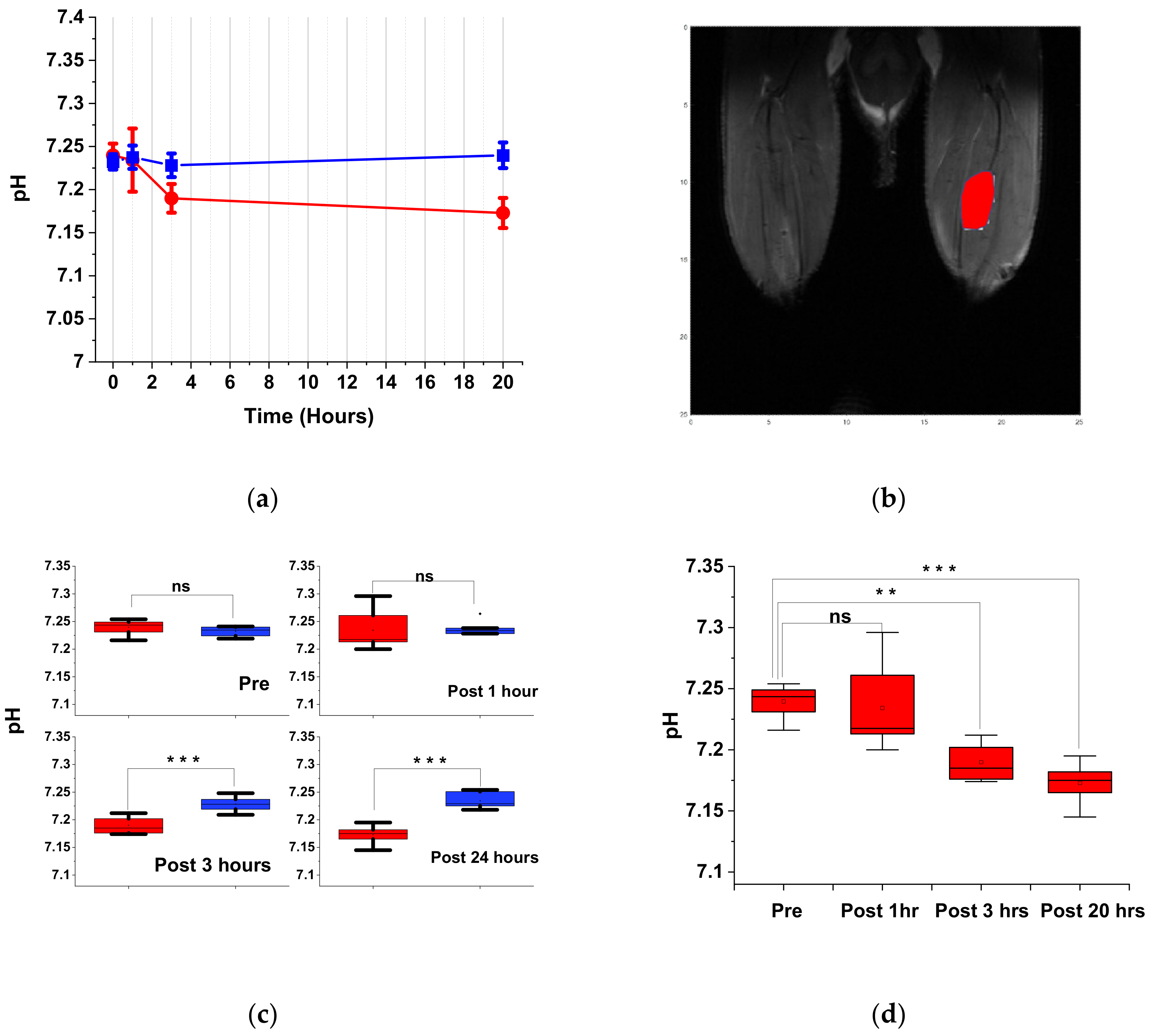 Cells 09 02610 g004 Cells 09 02610 g004