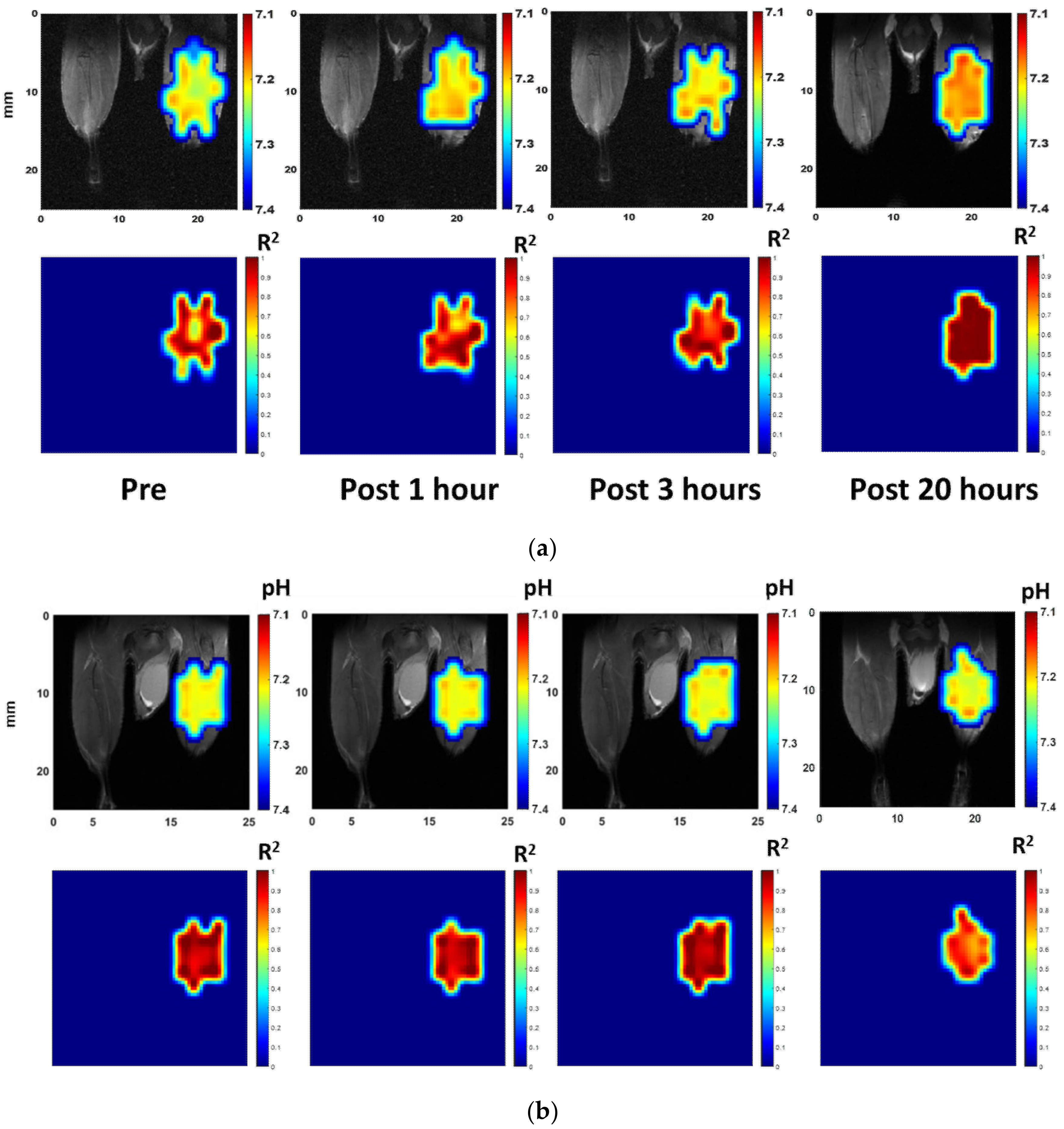 Cells 09 02610 g005a Cells 09 02610 g005a