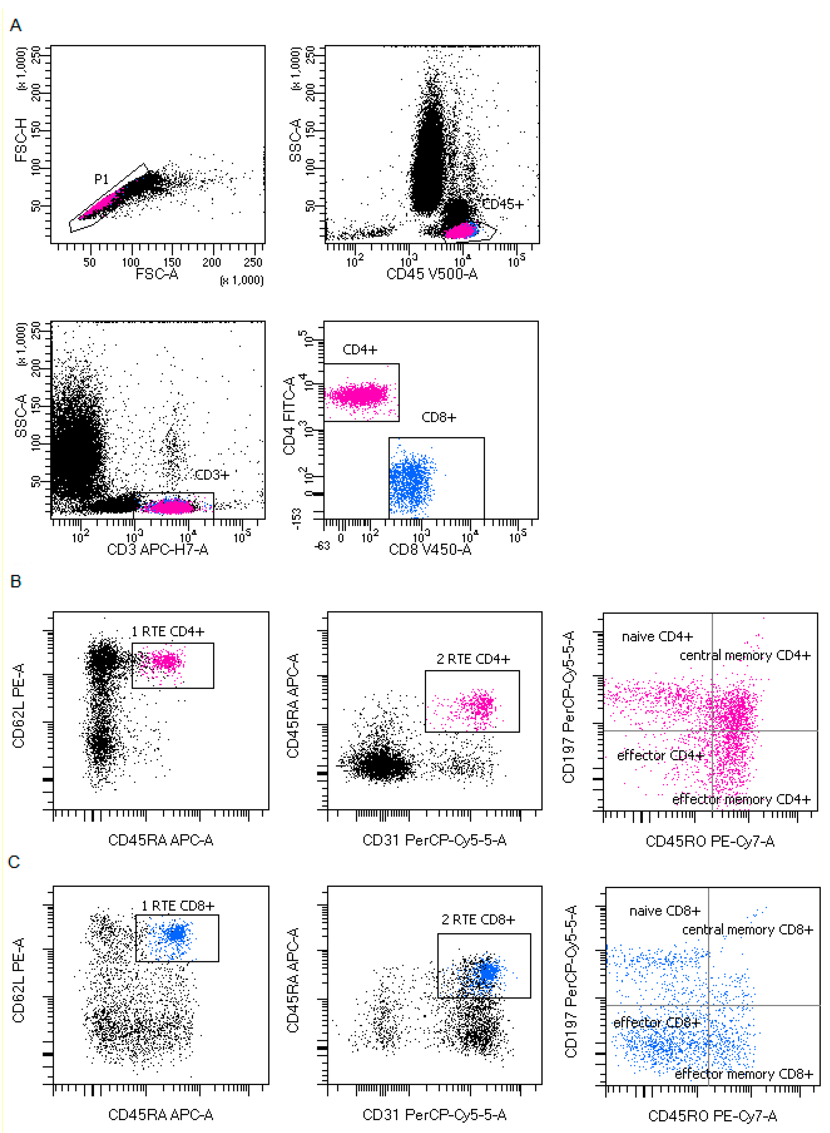 Cells 09 02615 g002 Cells 09 02615 g002