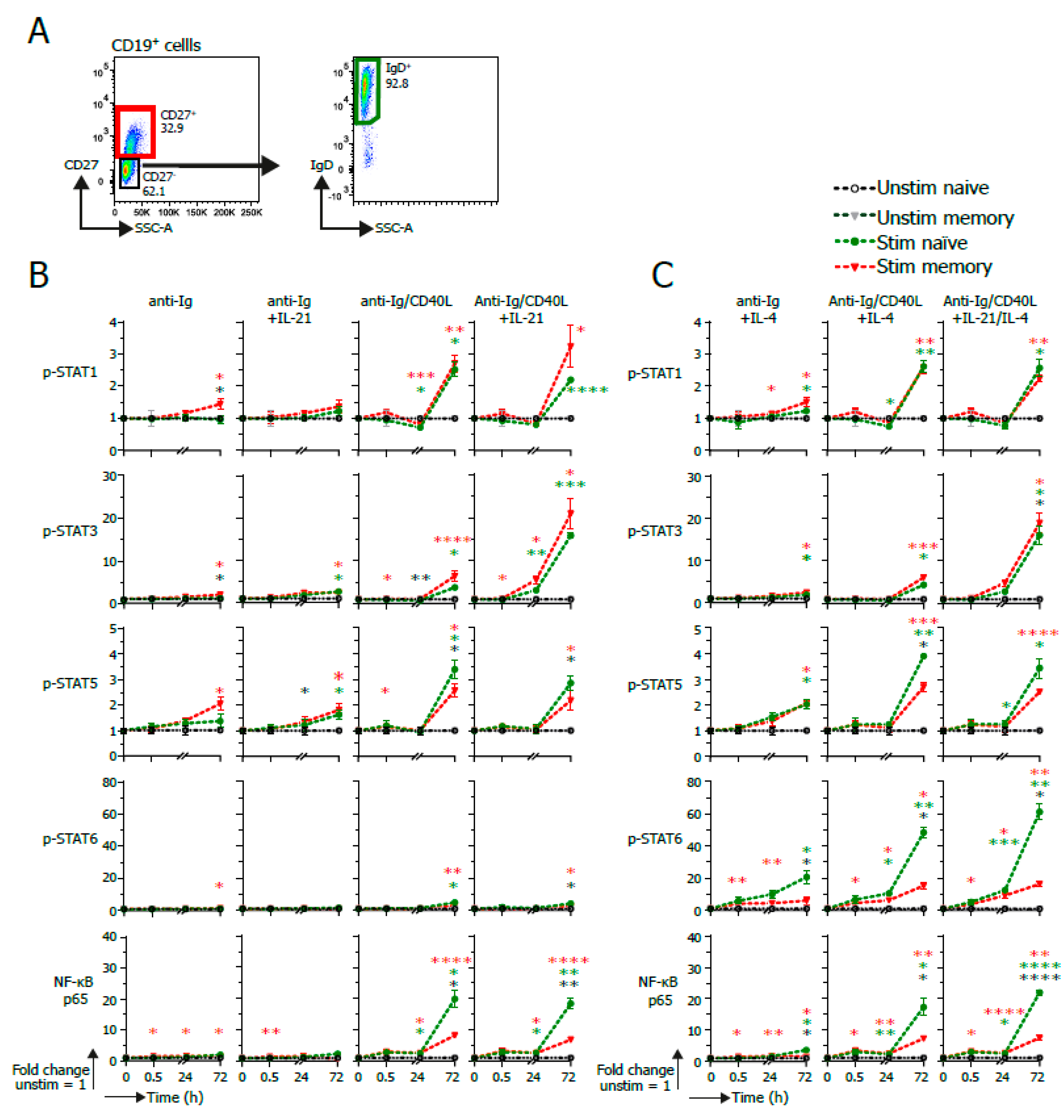 Cells 09 02633 g004 Cells 09 02633 g004