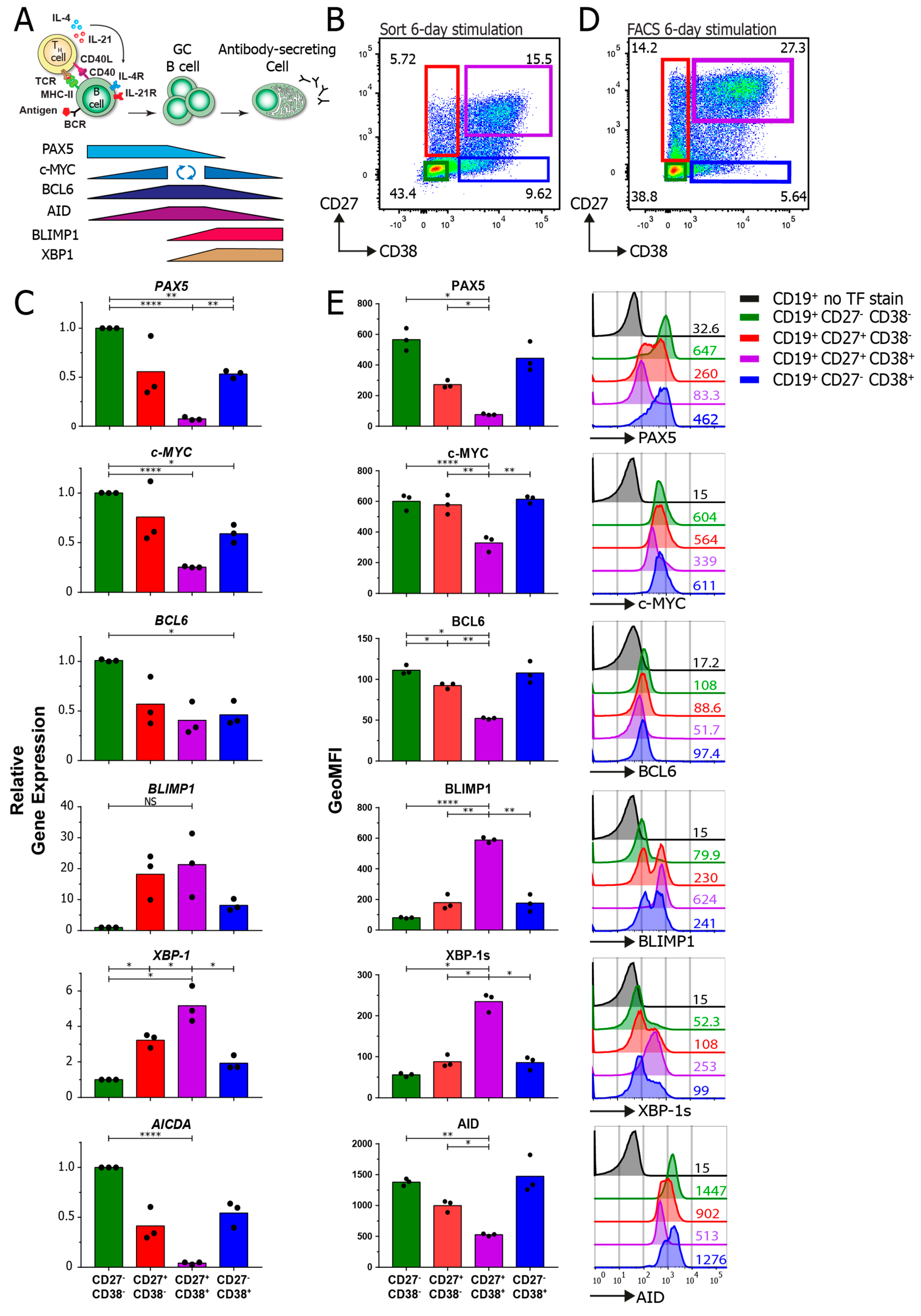 Cells 09 02633 g005 Cells 09 02633 g005