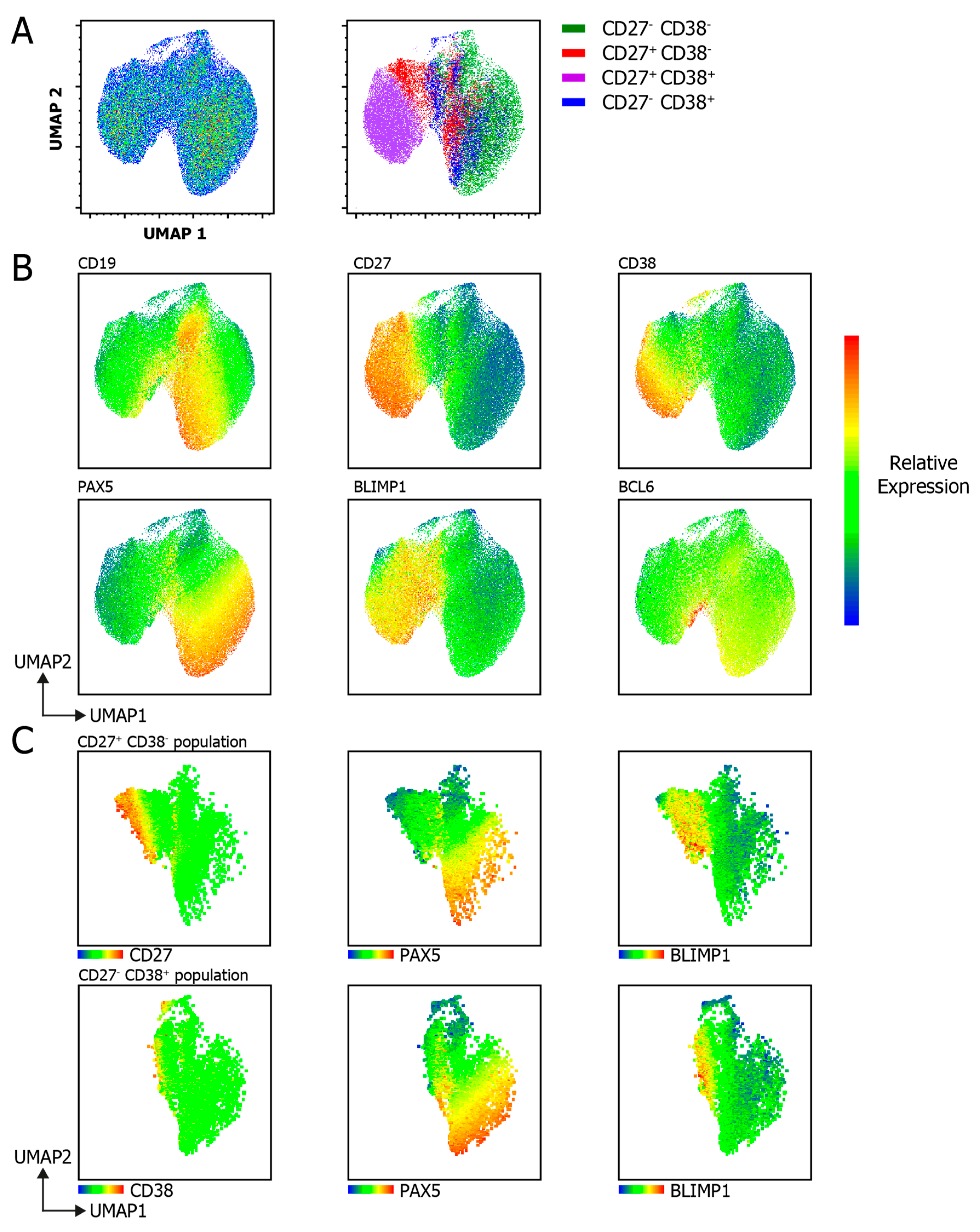 Cells 09 02633 g006 Cells 09 02633 g006