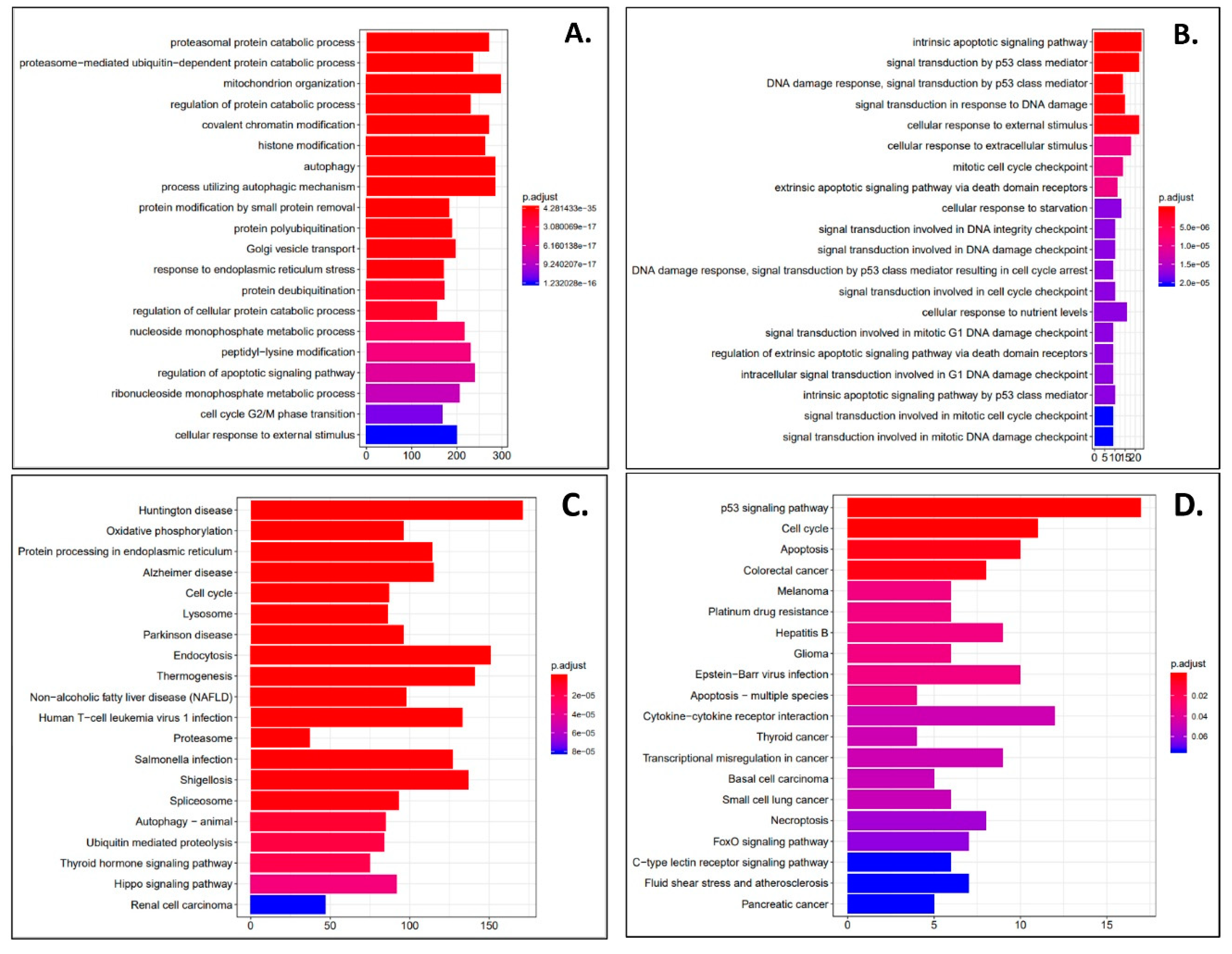 Cells 09 02637 g003 Cells 09 02637 g003