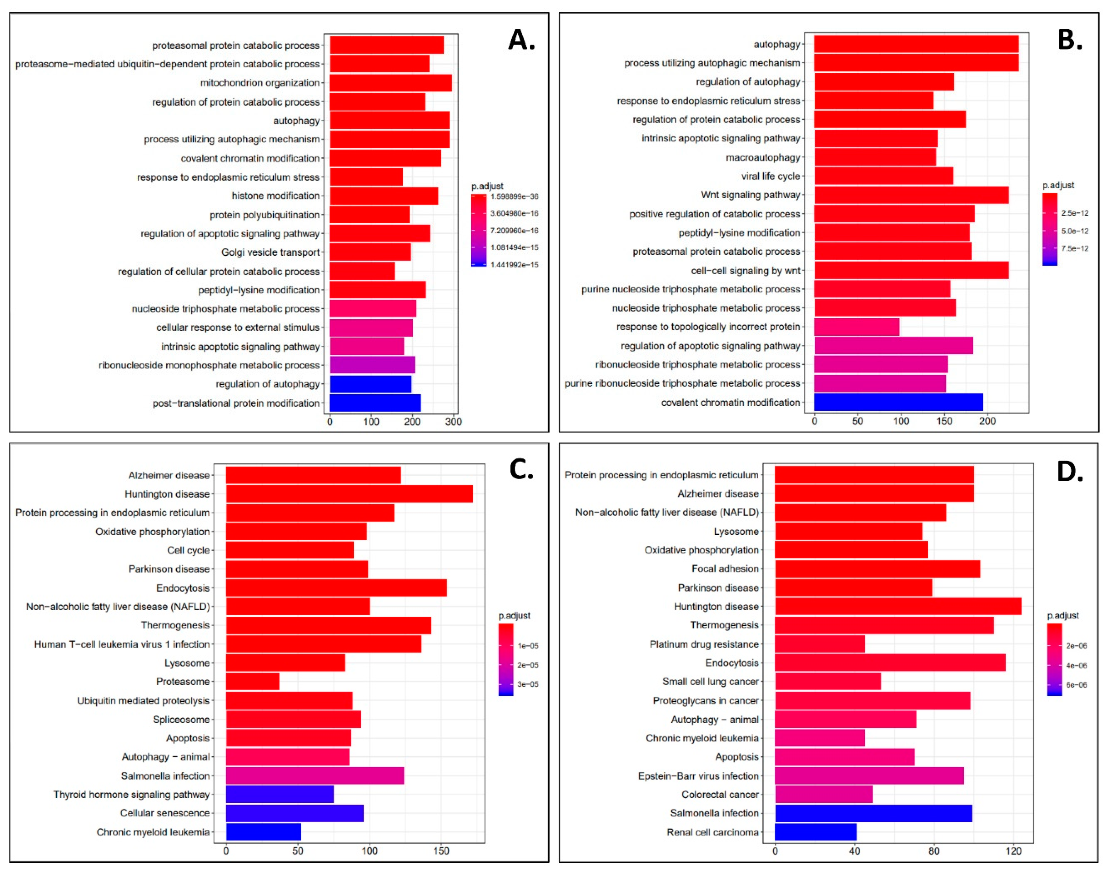 Cells 09 02637 g006 Cells 09 02637 g006