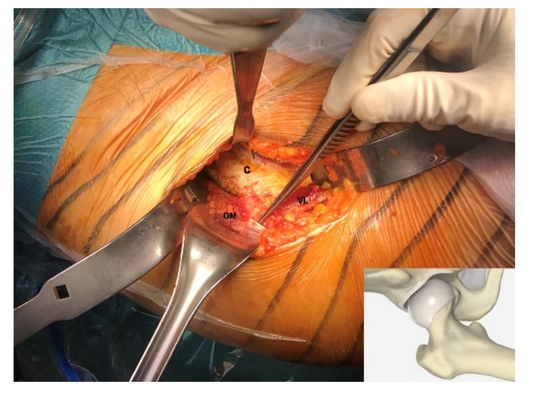 Cells 09 02641 g001 Cells 09 02641 g001