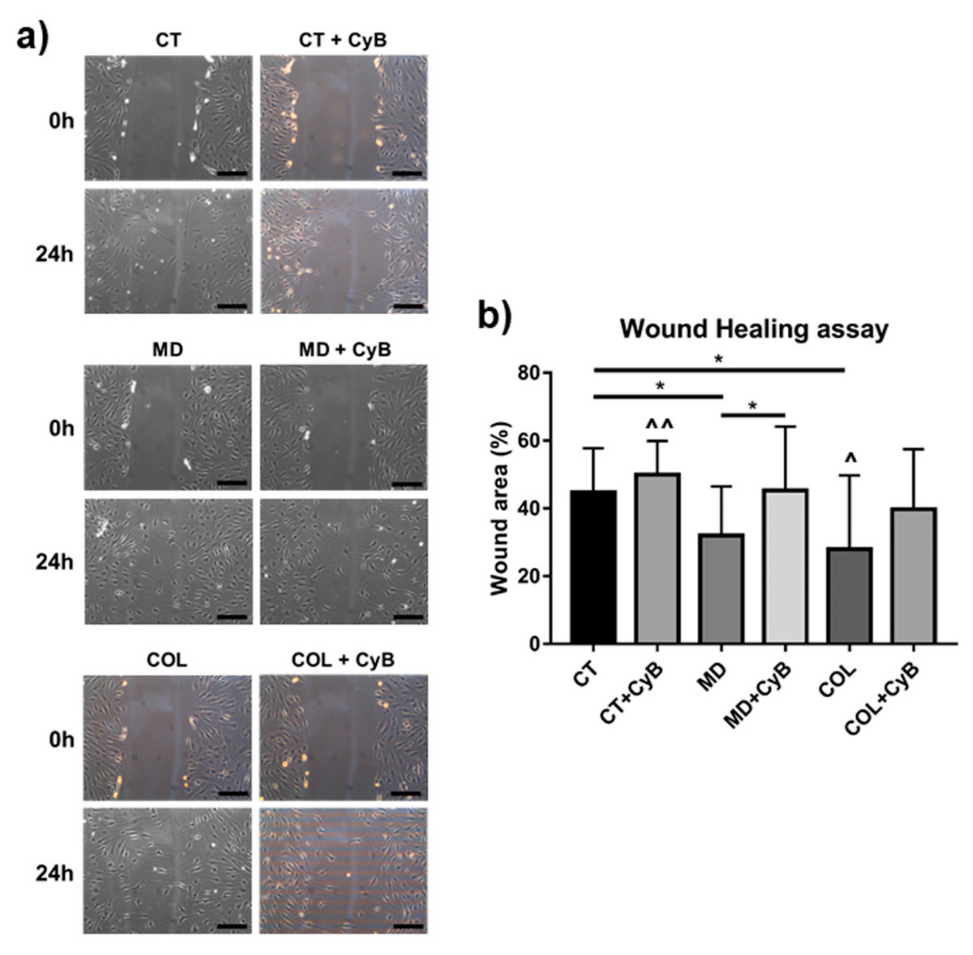 Cells 09 02641 g009 Cells 09 02641 g009