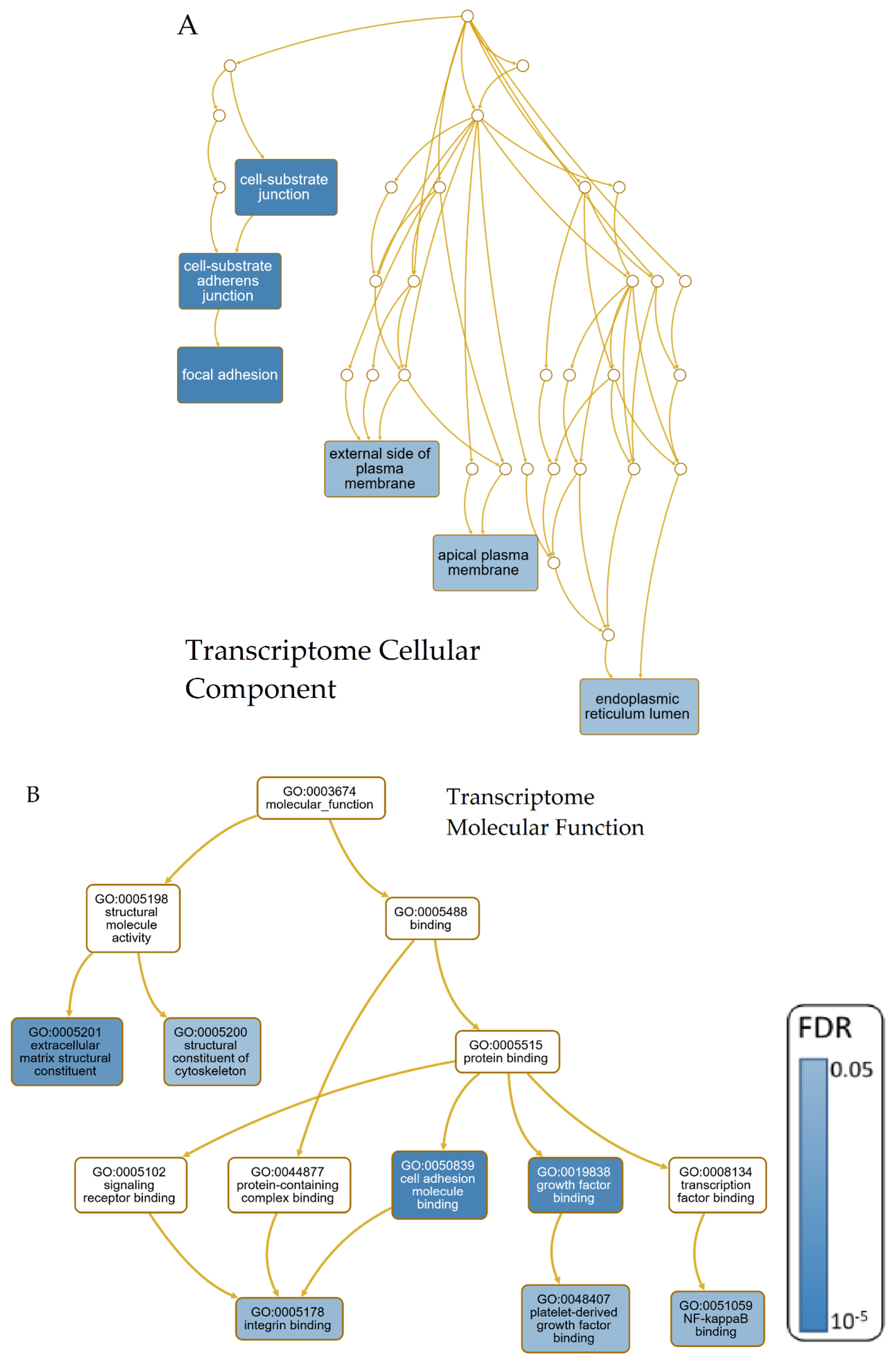 Cells 09 02642 g005a
