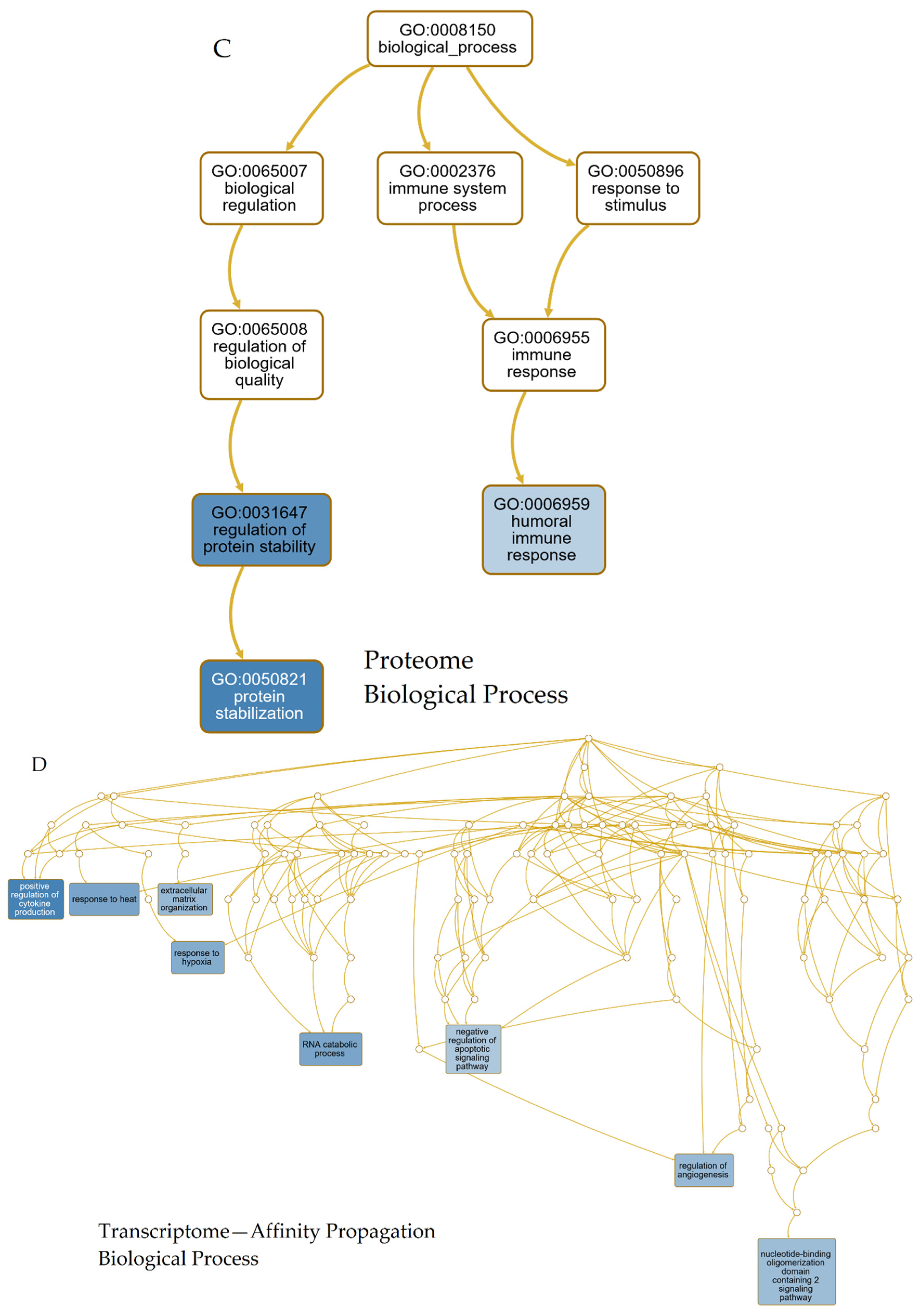 Cells 09 02642 g005b