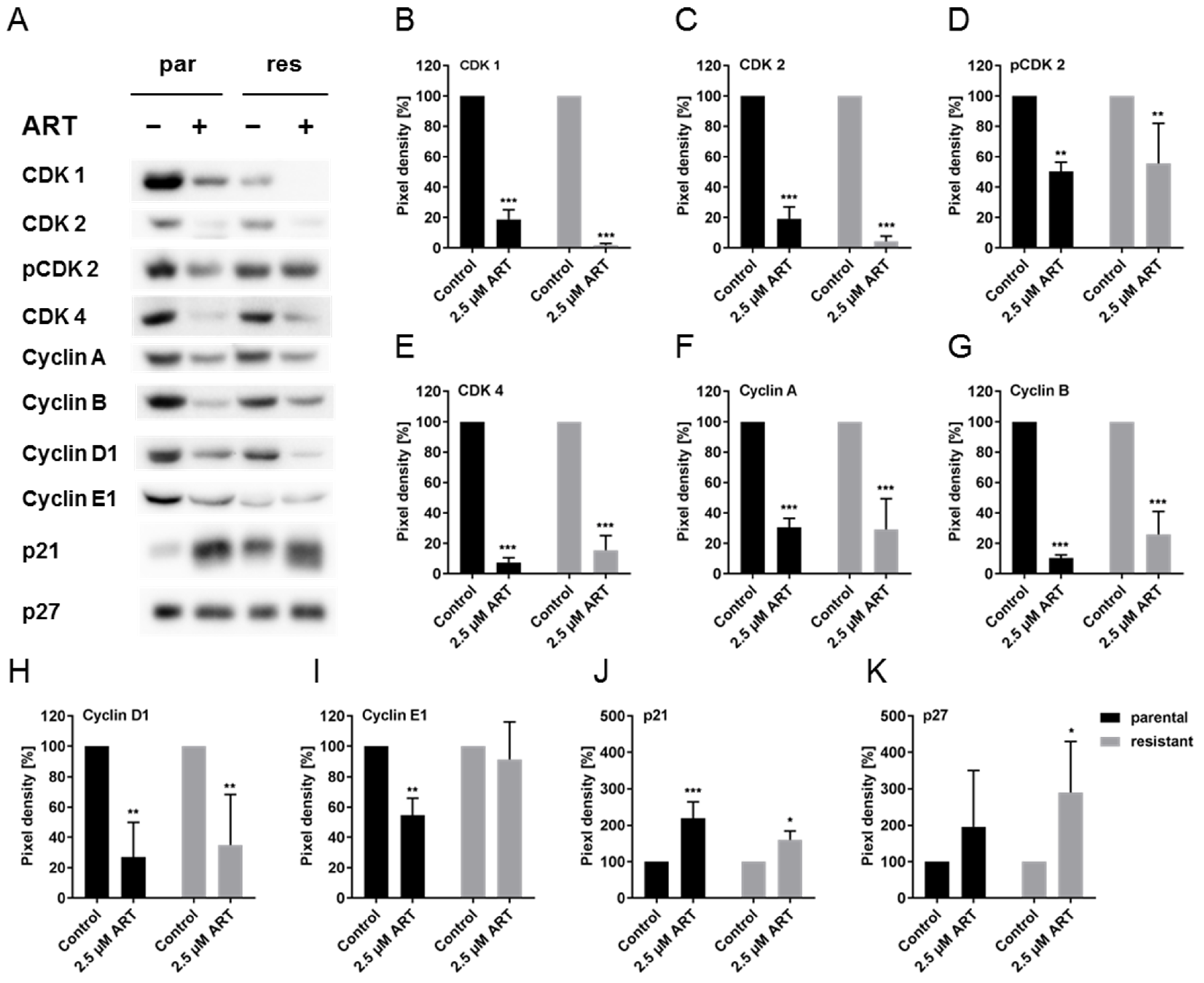 Cells 09 02643 g004 Cells 09 02643 g004