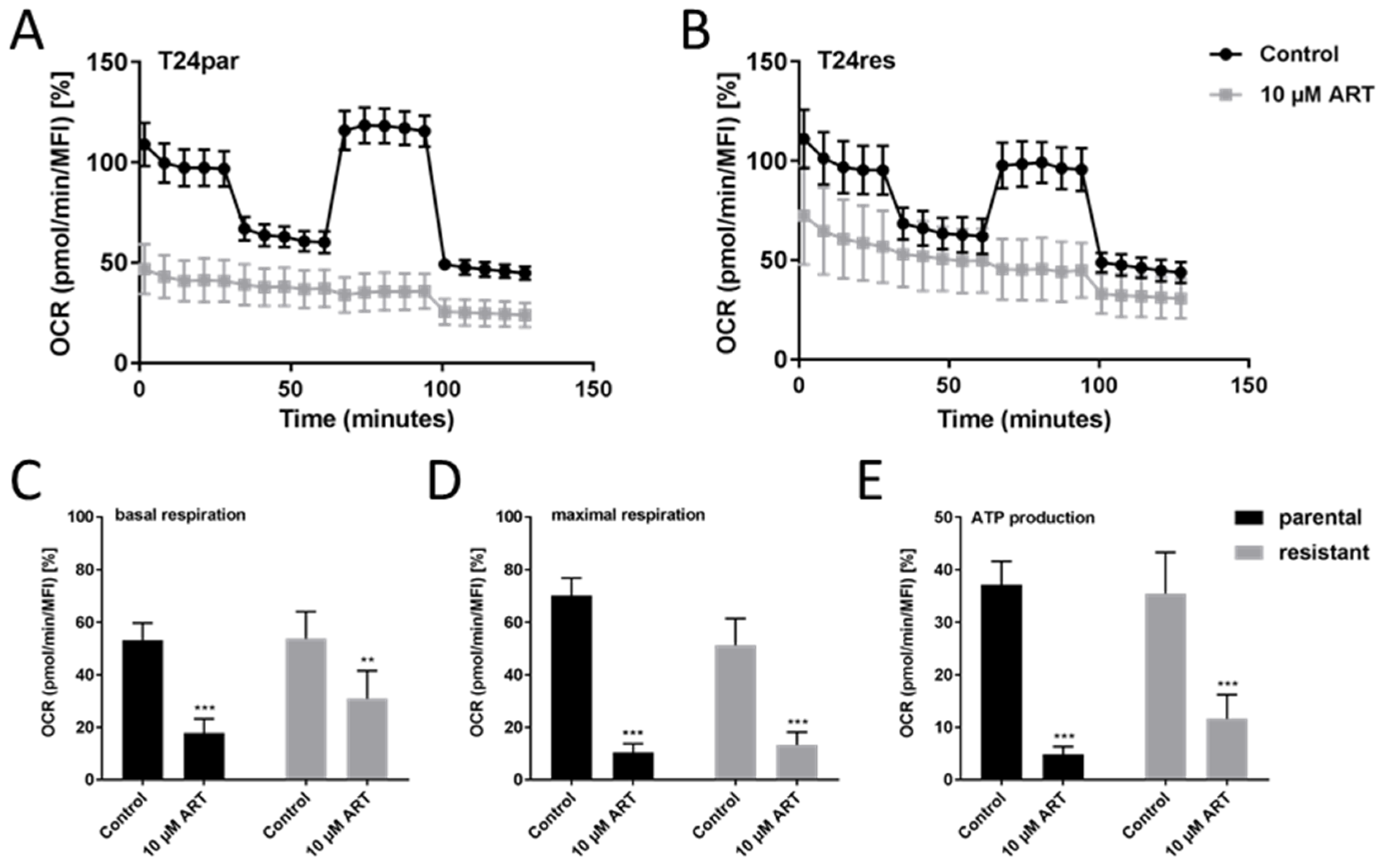 Cells 09 02643 g005 Cells 09 02643 g005