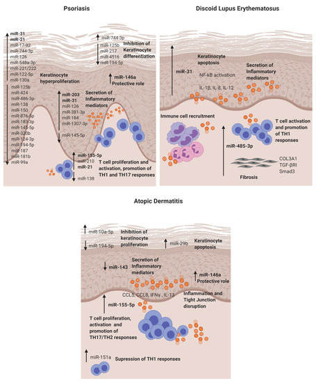 Cells 09 02656 g002 550