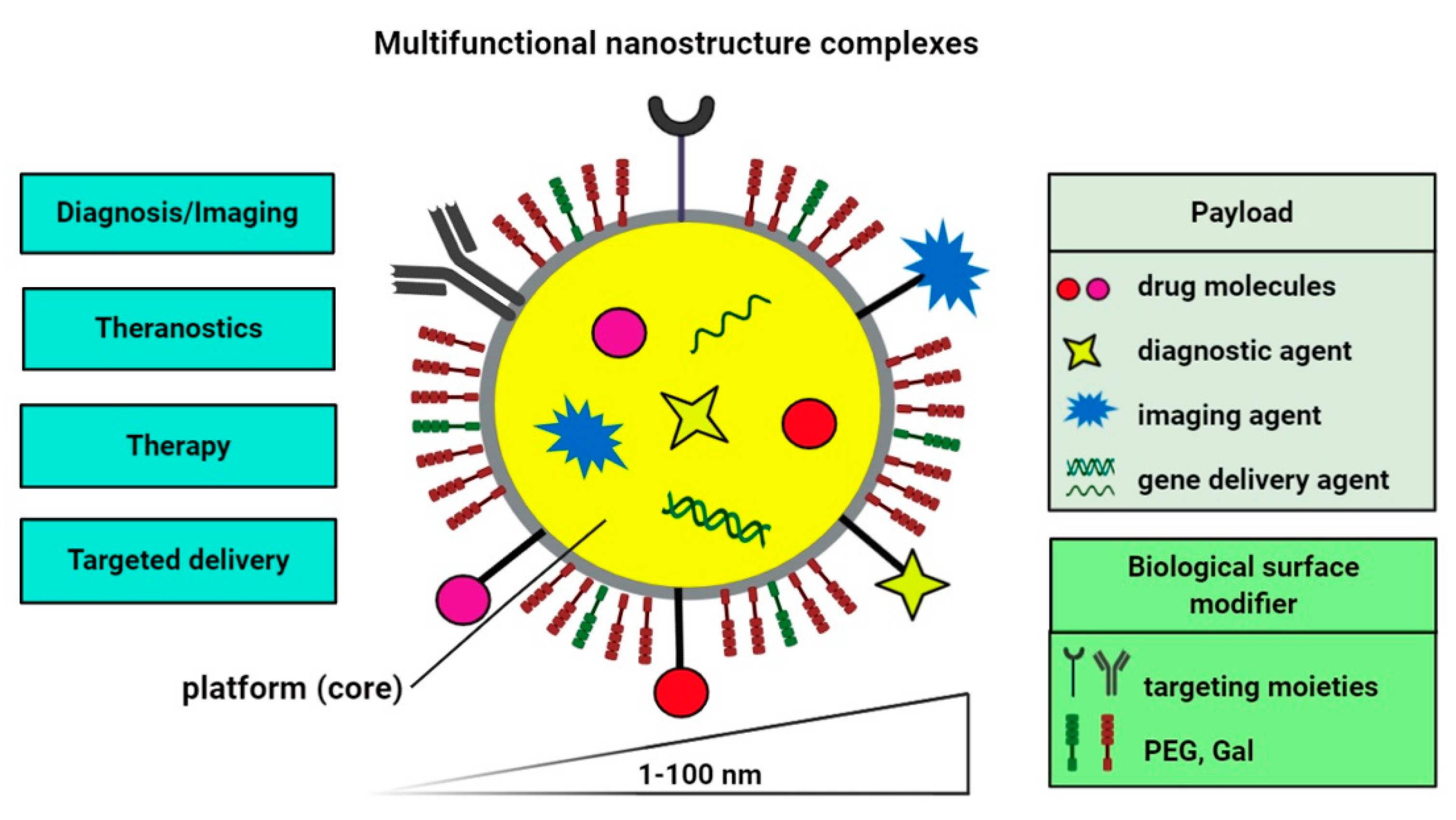 Cells 09 02659 g002