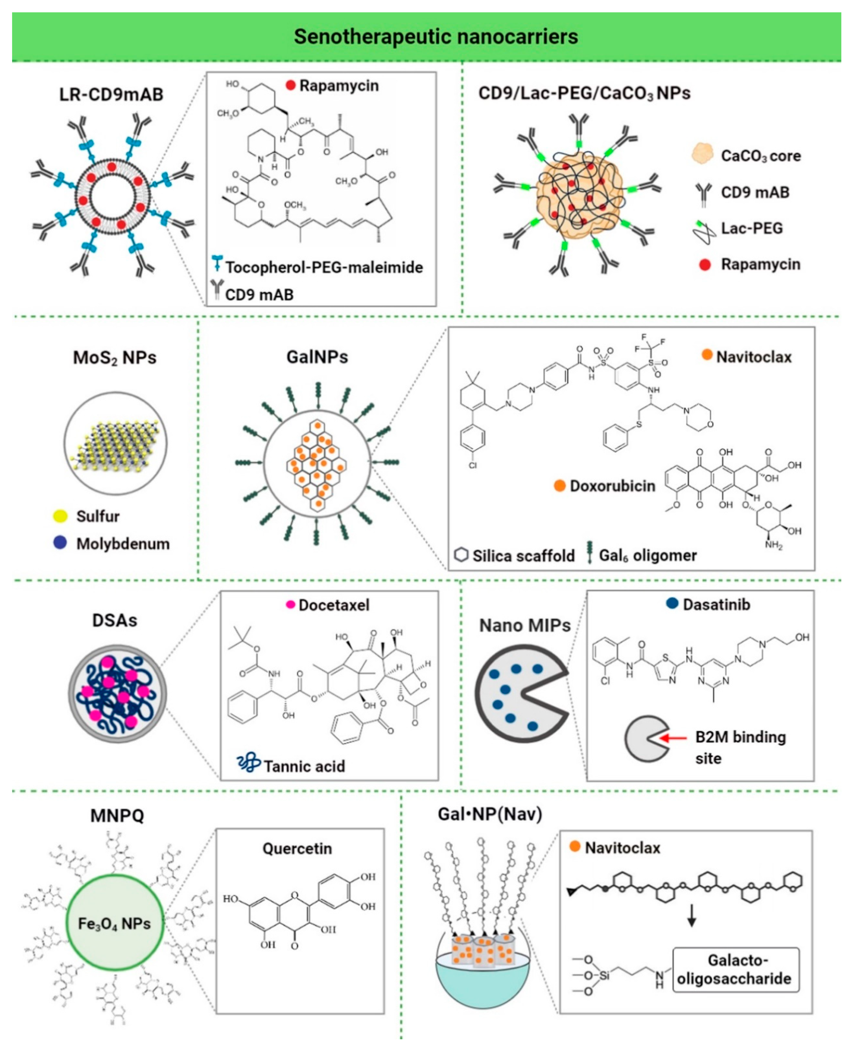 Cells 09 02659 g004