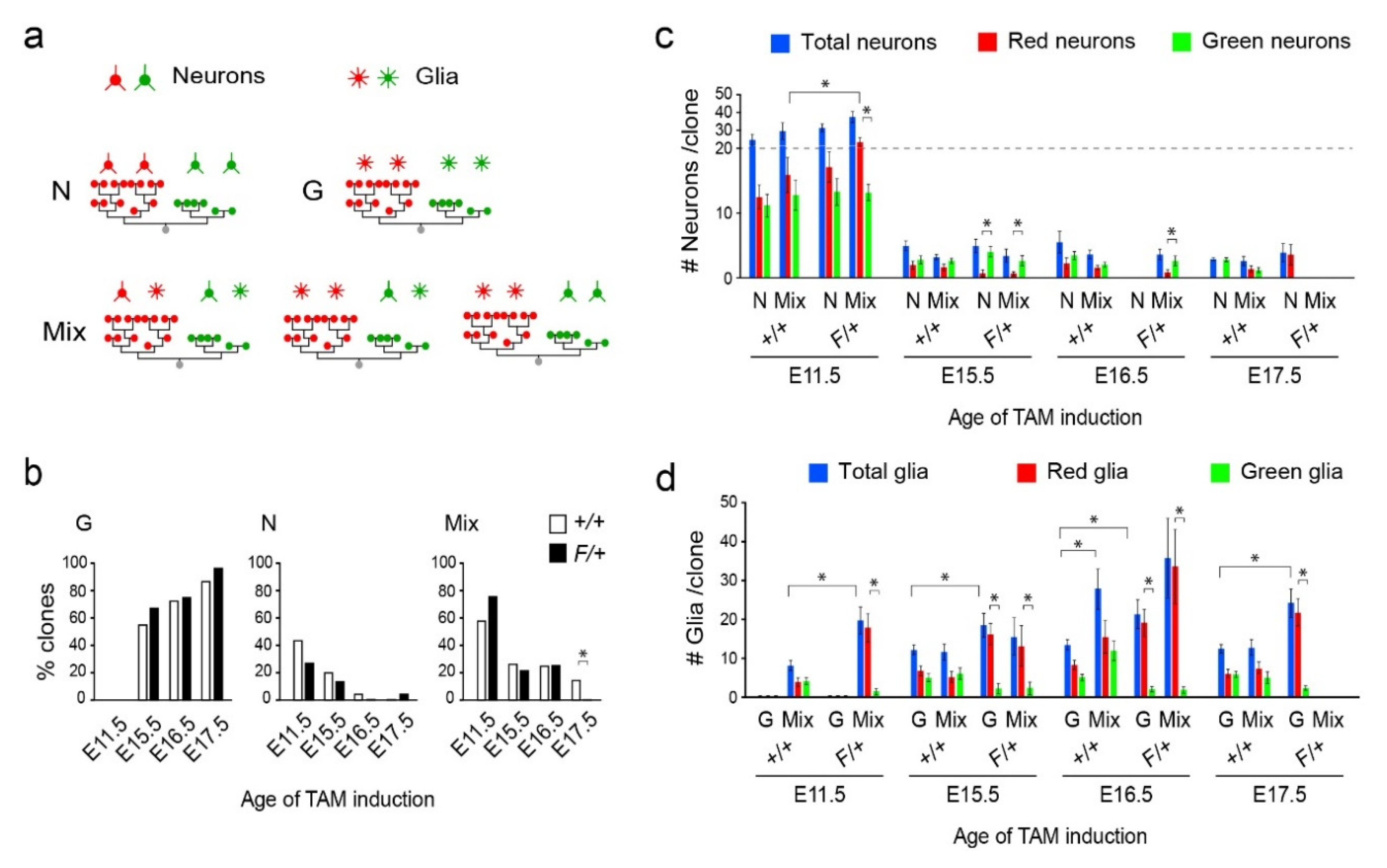 Cells 09 02662 g003 Cells 09 02662 g003