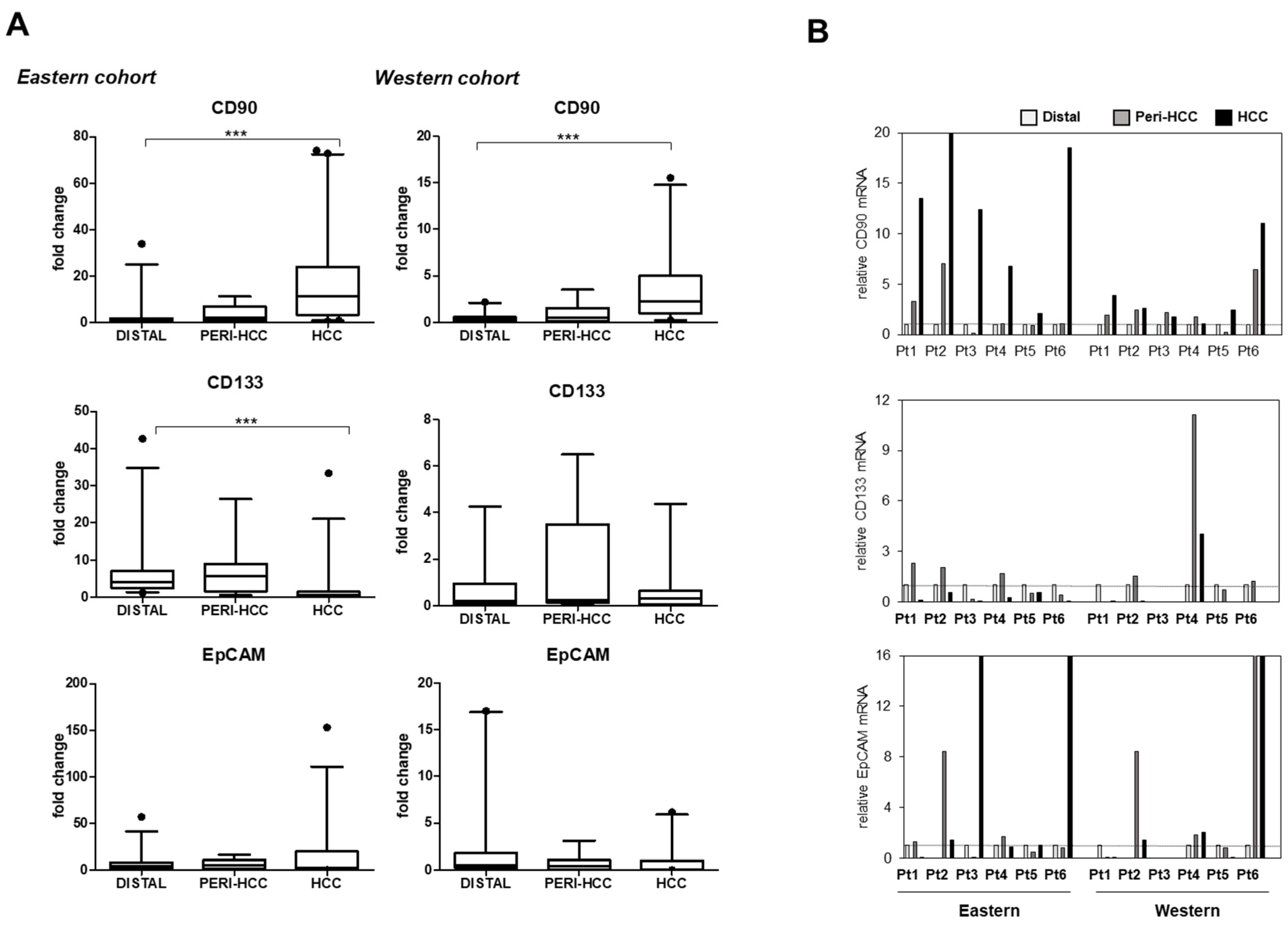 Cells 09 02672 g001 Cells 09 02672 g001