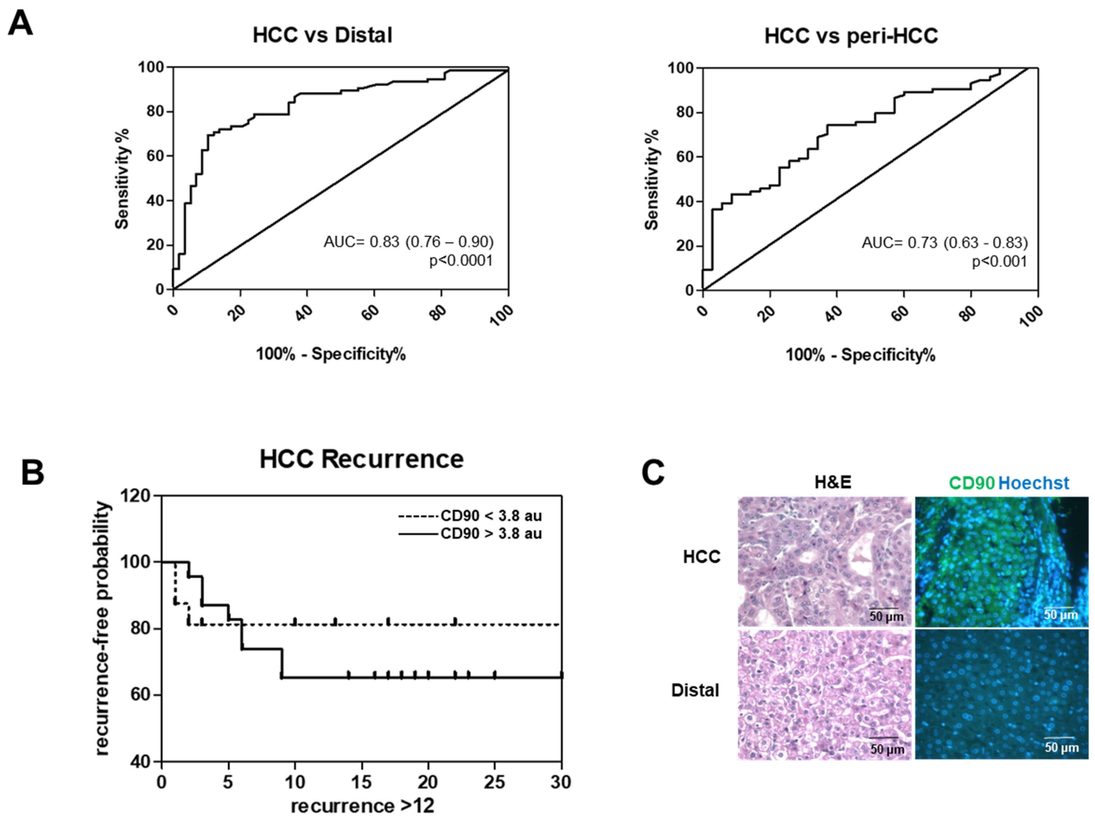 Cells 09 02672 g002 Cells 09 02672 g002