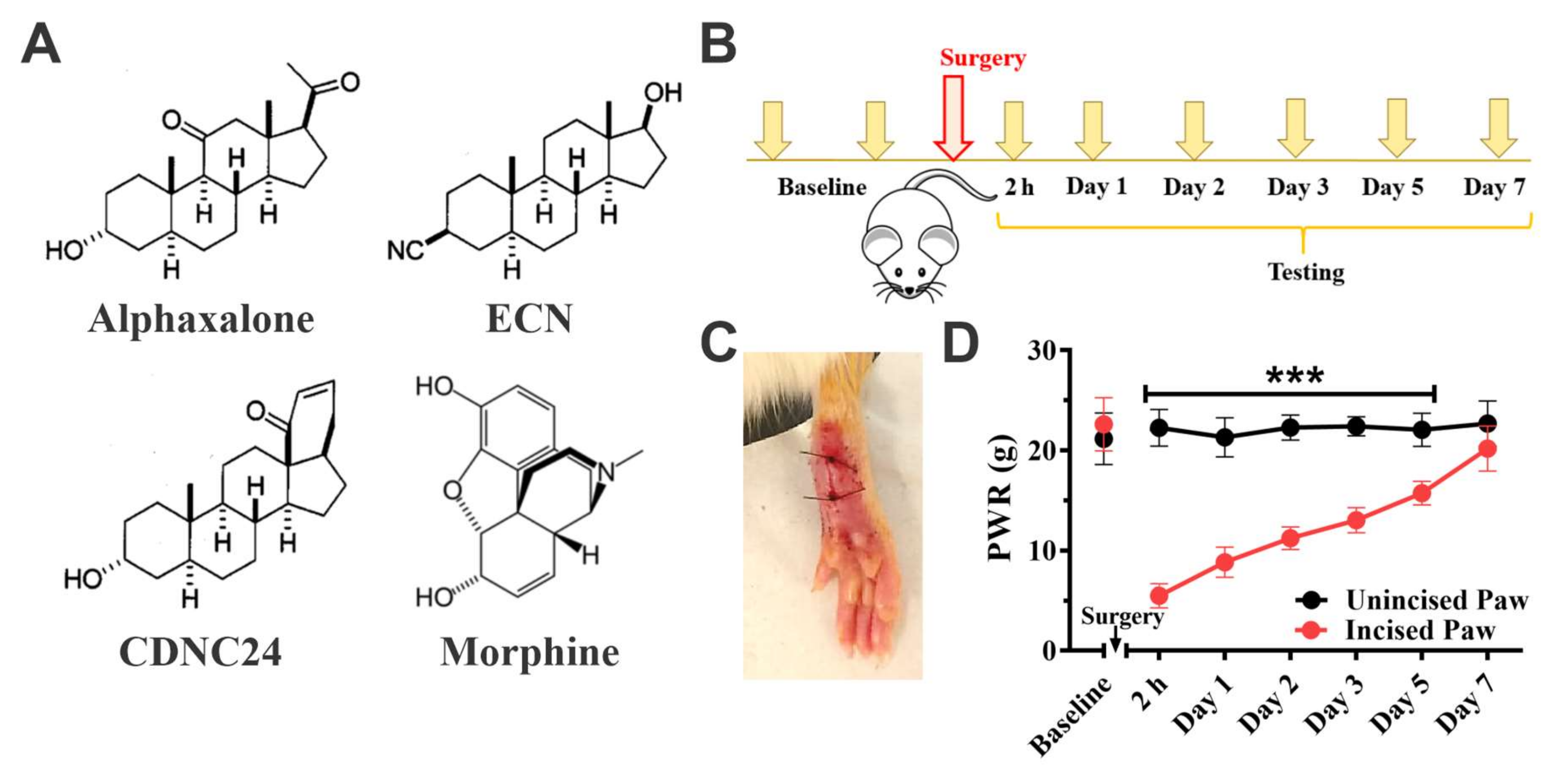 Cells 09 02674 g001 Cells 09 02674 g001