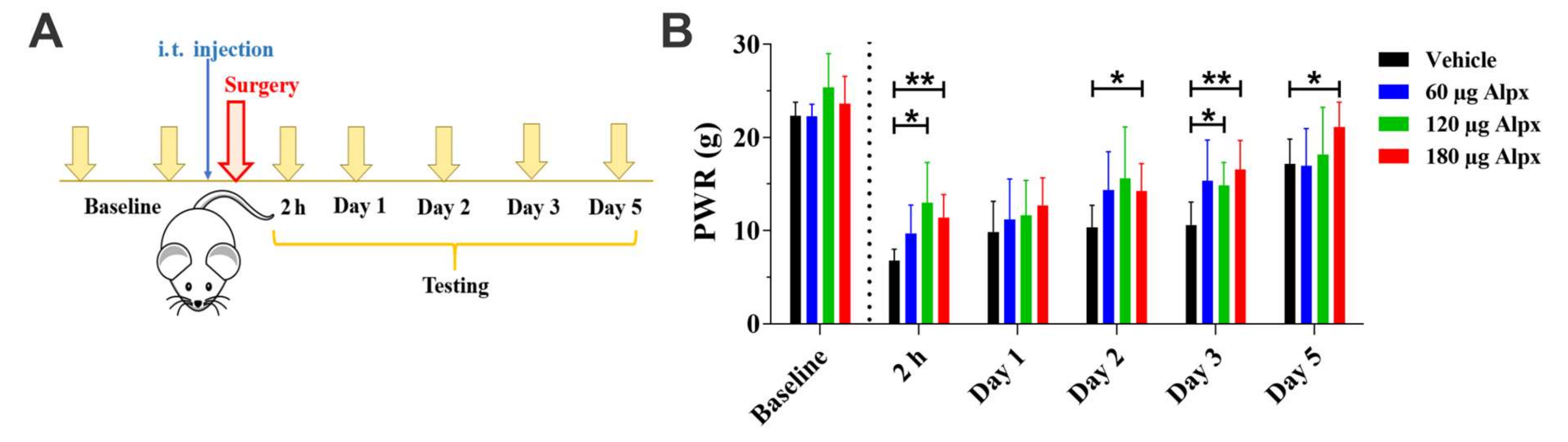 Cells 09 02674 g002 Cells 09 02674 g002