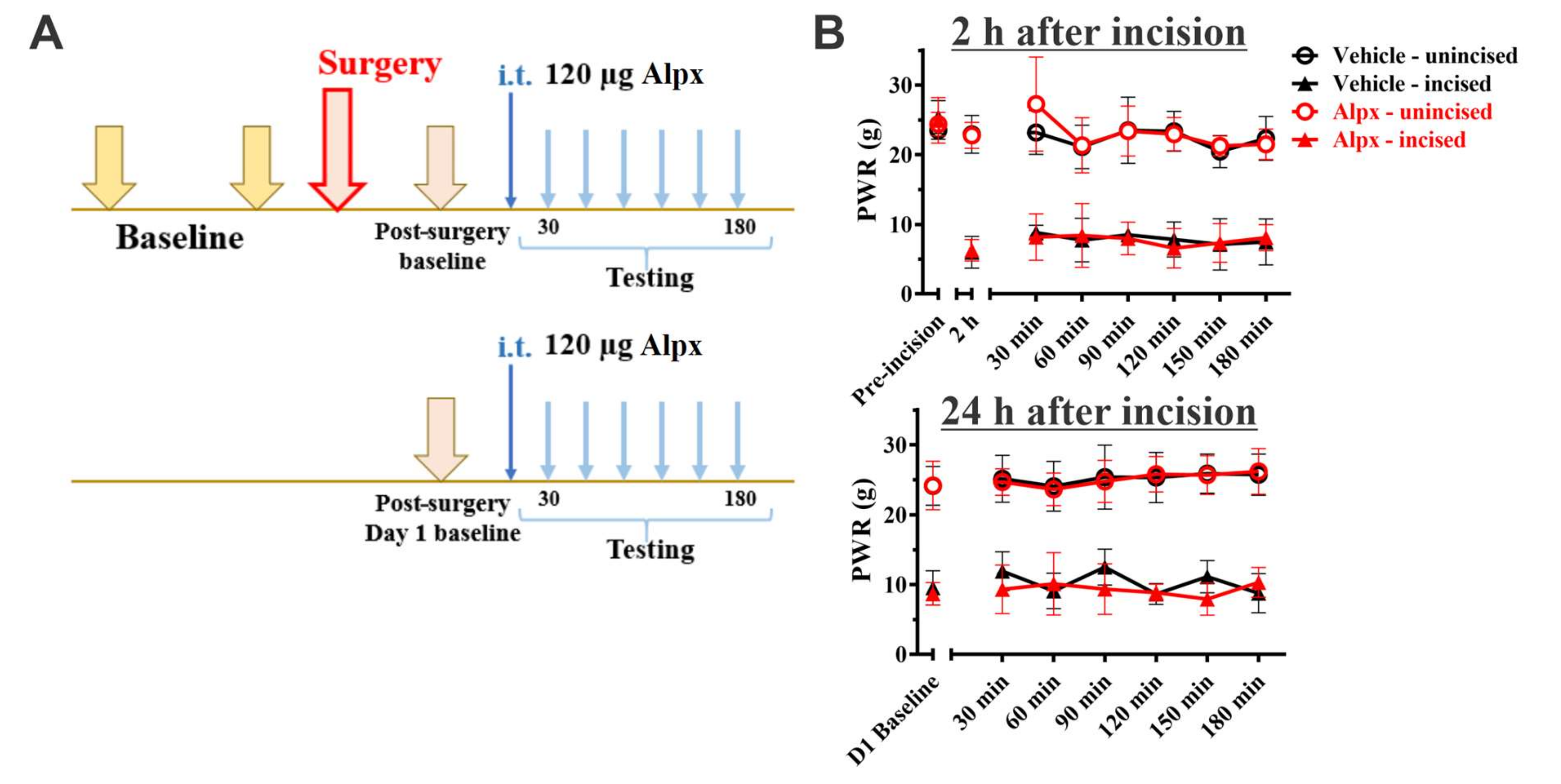 Cells 09 02674 g003 Cells 09 02674 g003