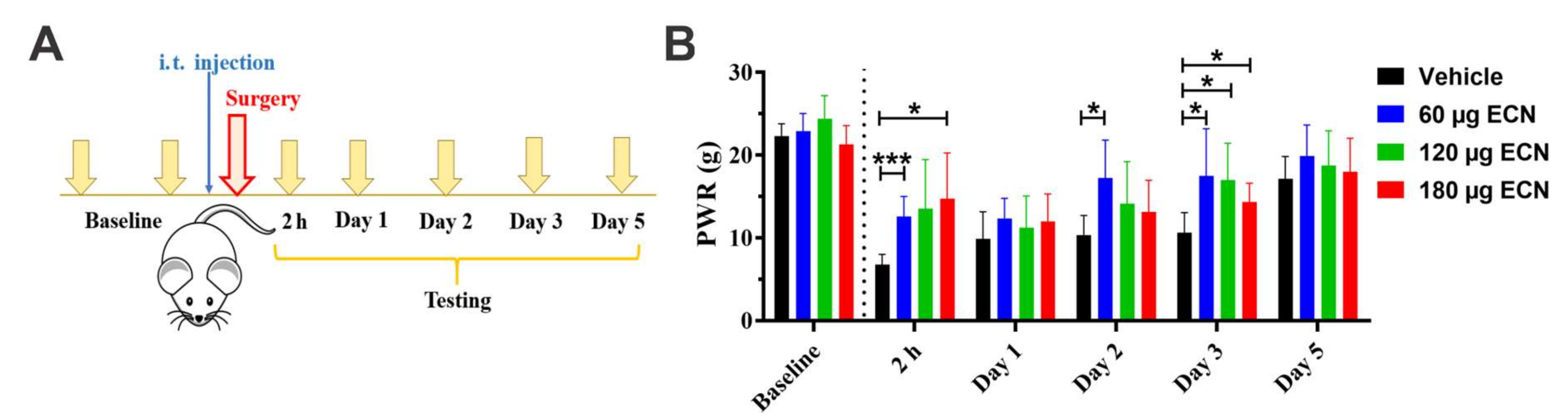 Cells 09 02674 g004 Cells 09 02674 g004