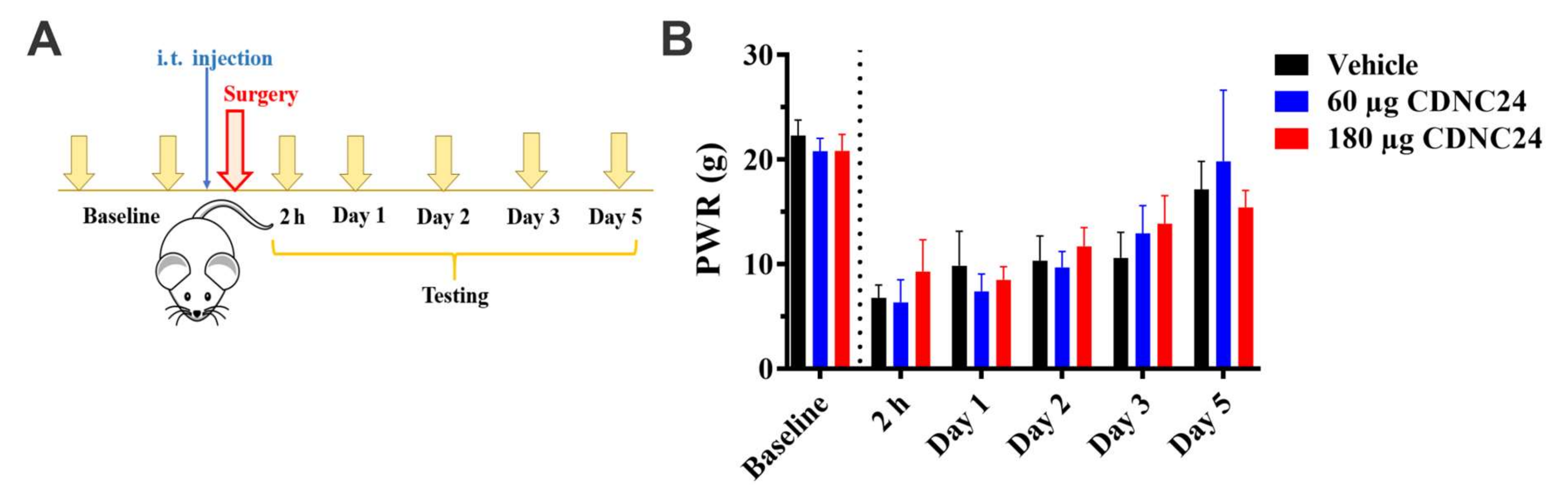 Cells 09 02674 g006 Cells 09 02674 g006