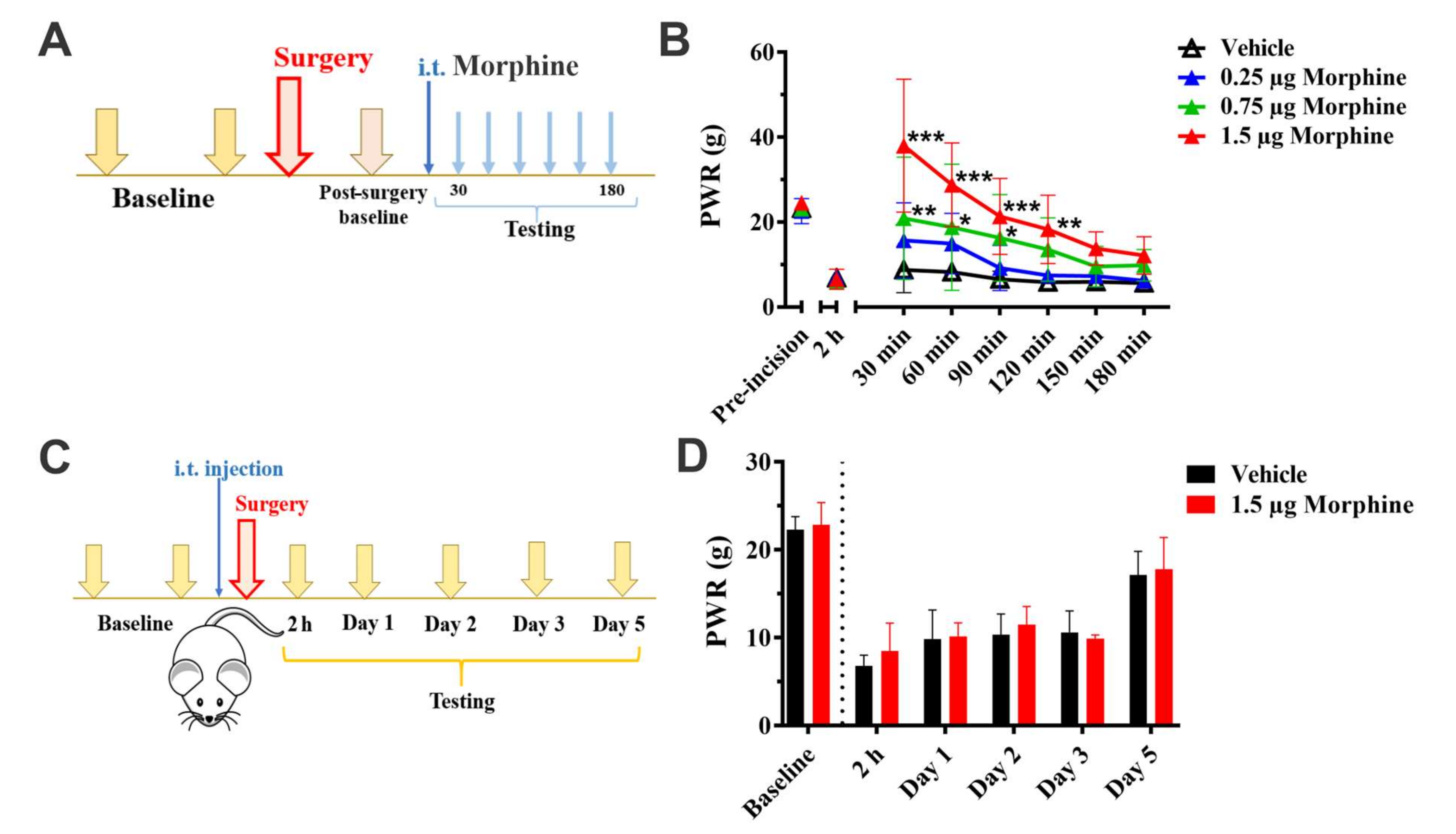 Cells 09 02674 g007 Cells 09 02674 g007