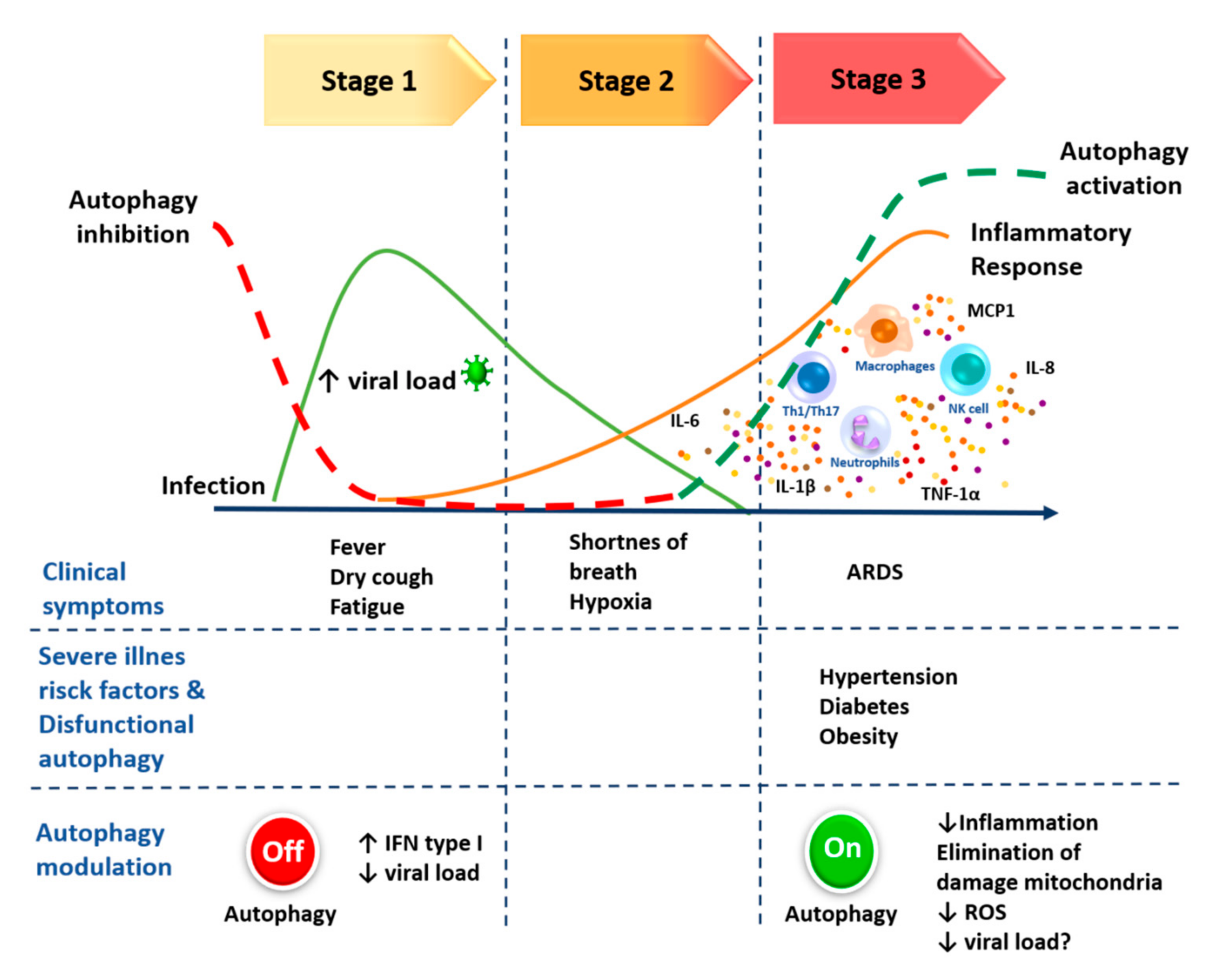 Cells 09 02679 g005 Cells 09 02679 g005