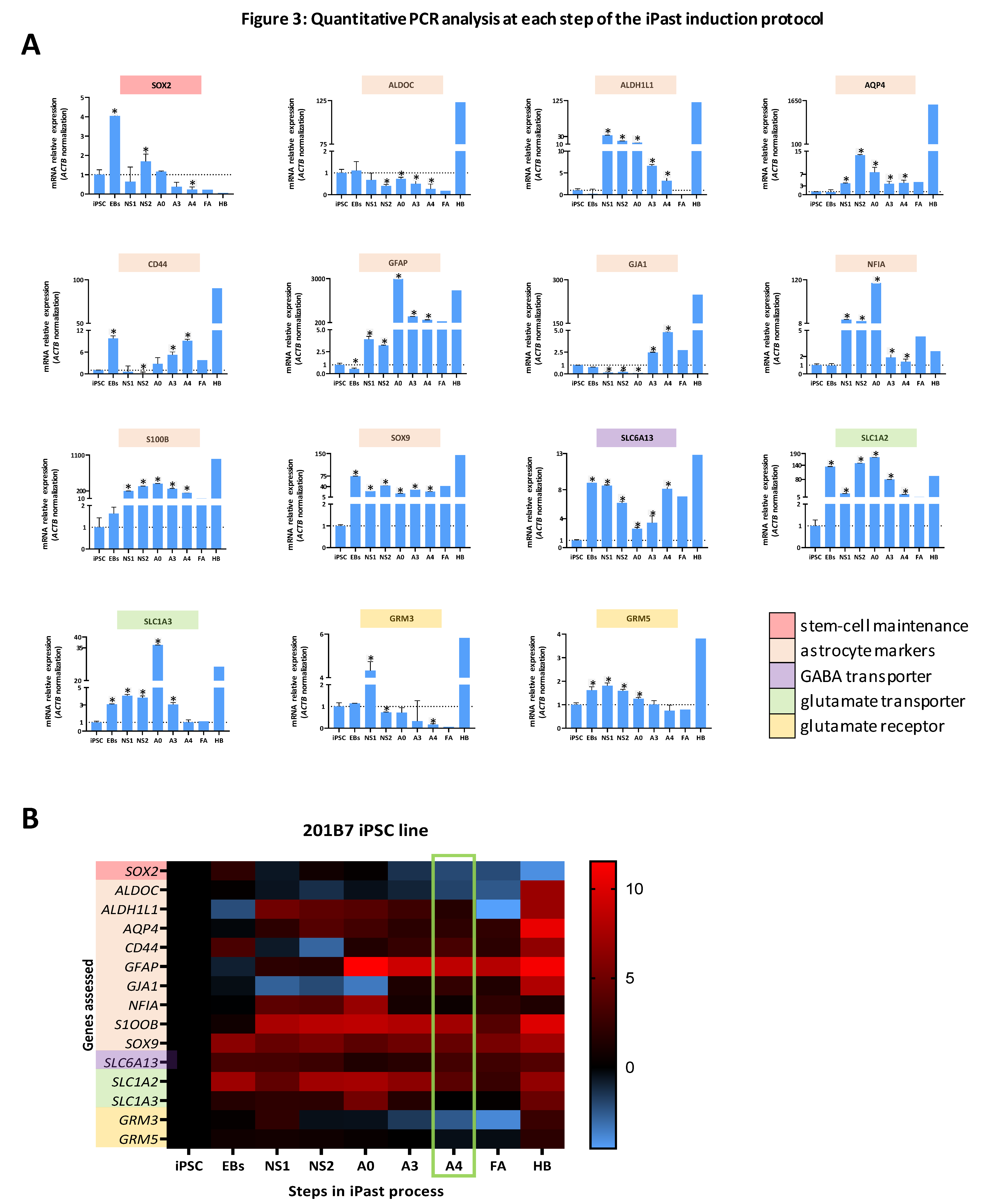 Cells 09 02680 g003 Cells 09 02680 g003