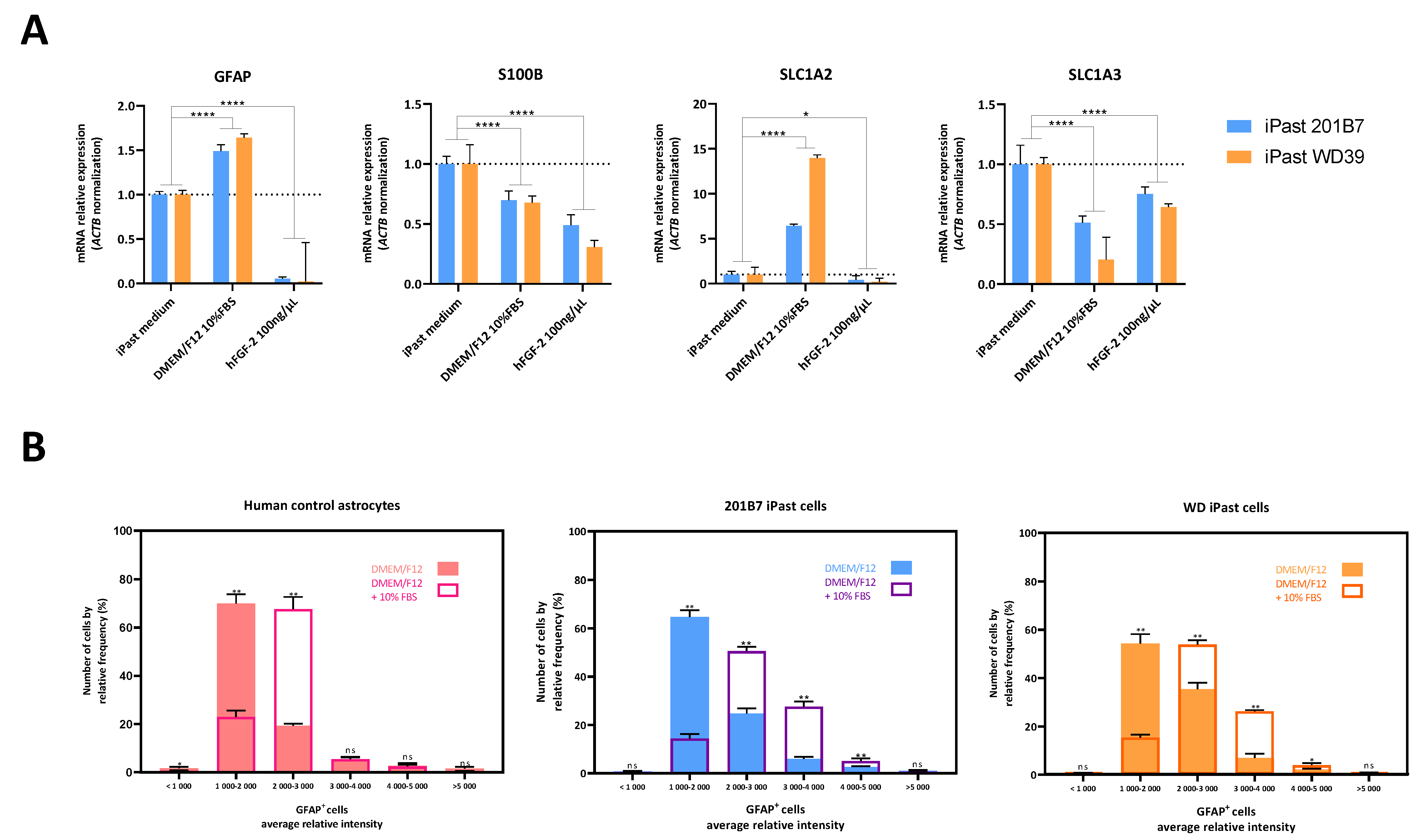 Cells 09 02680 g005 Cells 09 02680 g005