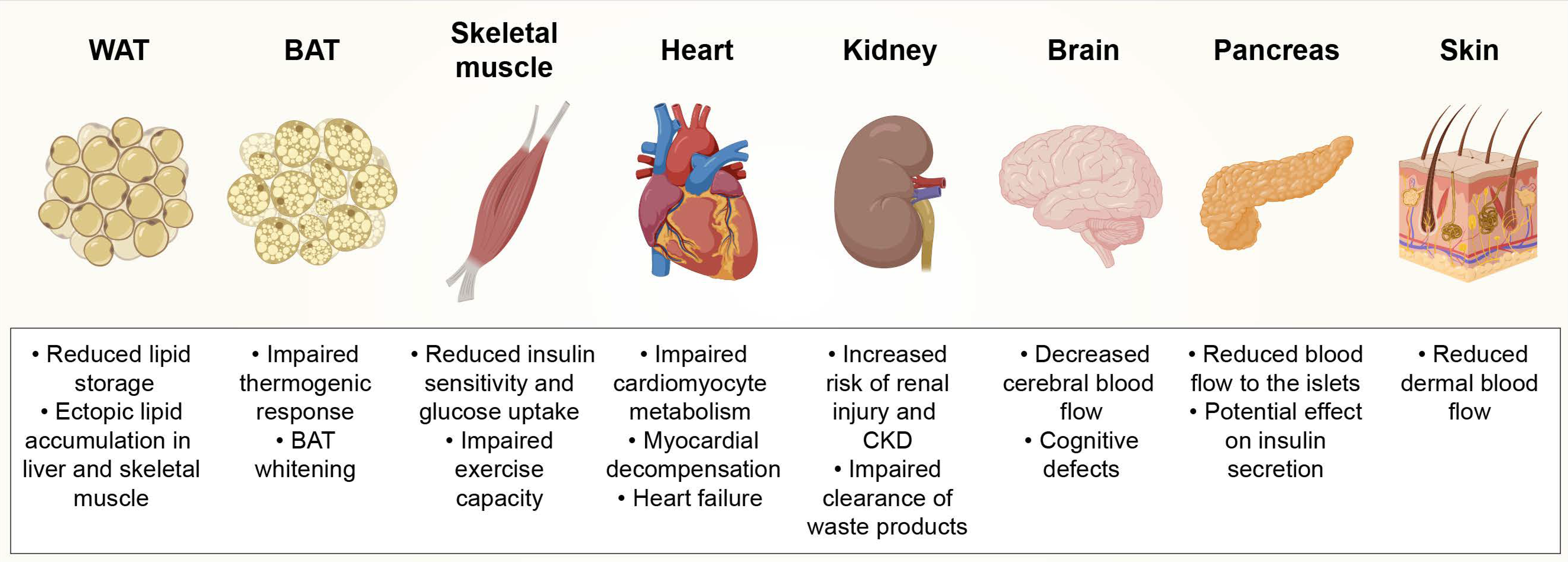 Cells 09 02683 g001 Cells 09 02683 g001