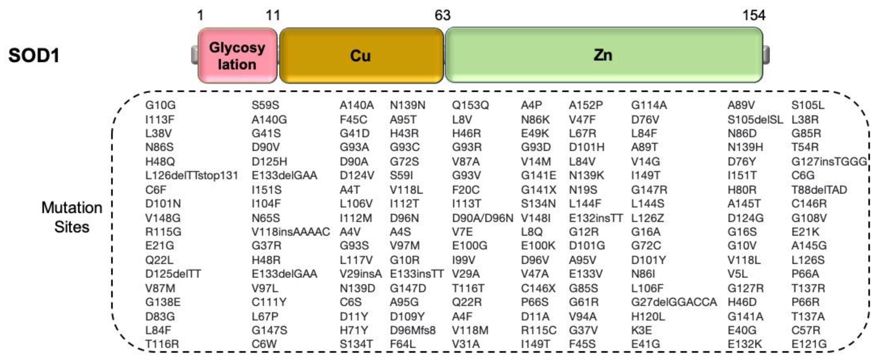 Cells 09 02687 g004 Cells 09 02687 g004
