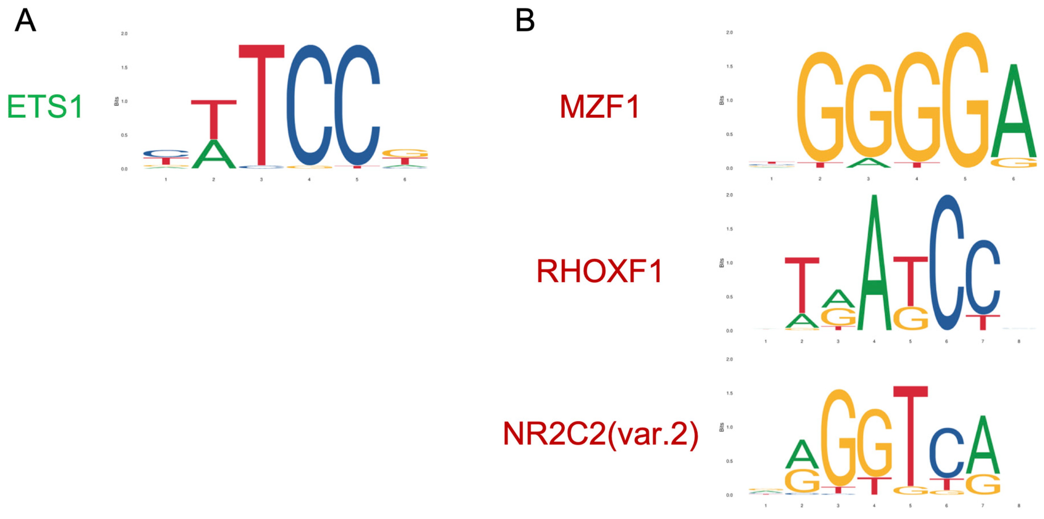Cells 09 02690 g006 Cells 09 02690 g006