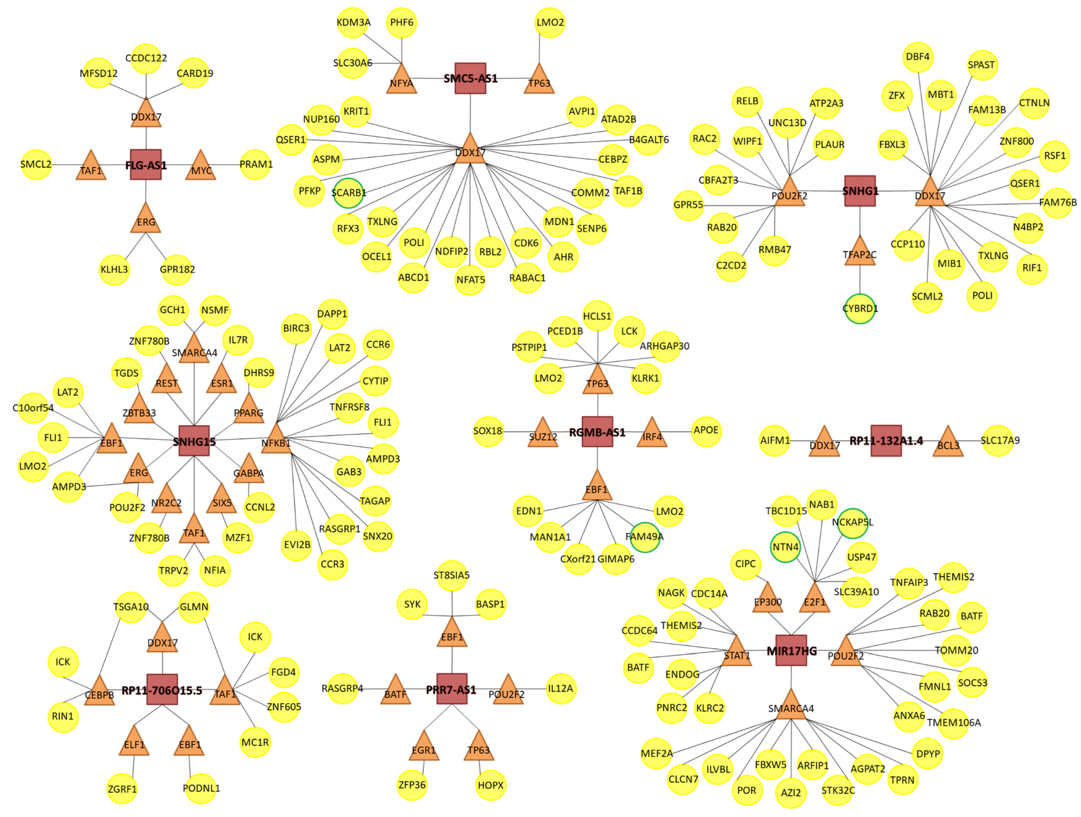 Cells 09 02690 g007 Cells 09 02690 g007