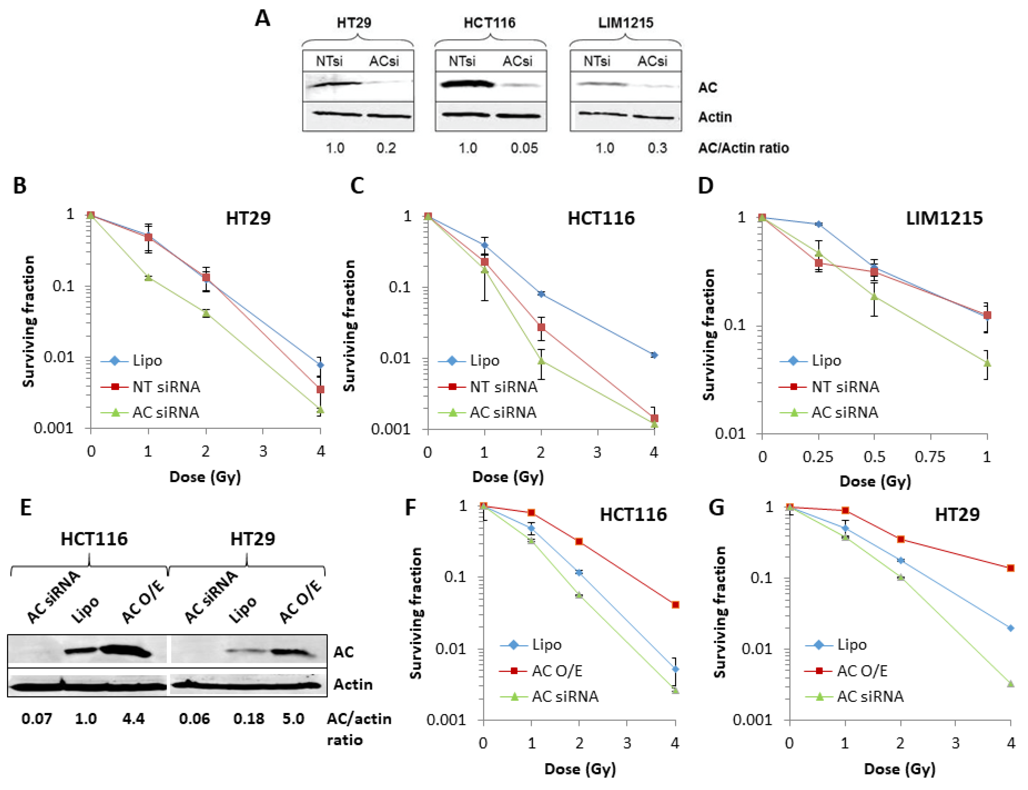 Cells 09 02693 g002 Cells 09 02693 g002