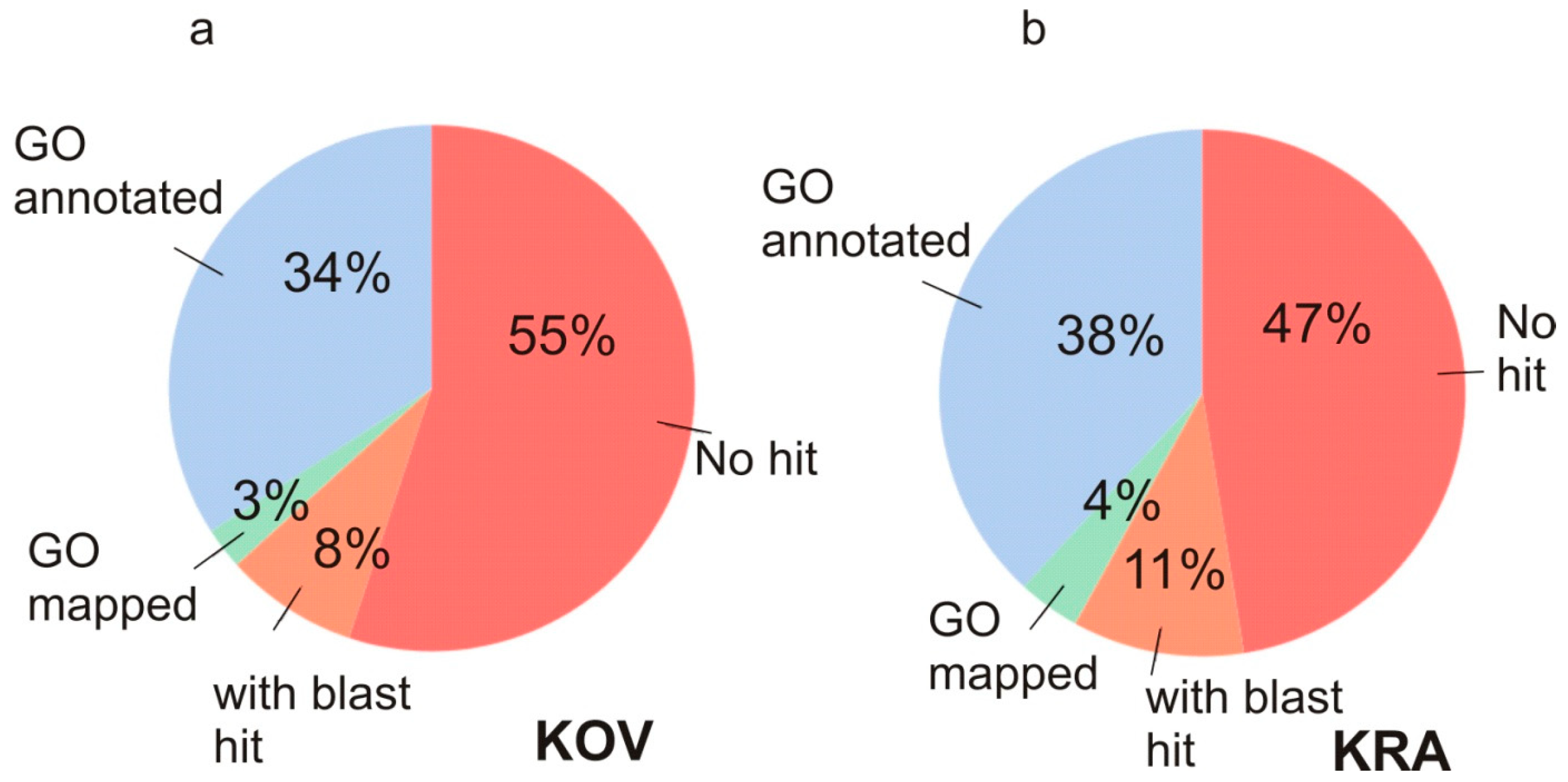 Cells 09 02700 g002 Cells 09 02700 g002