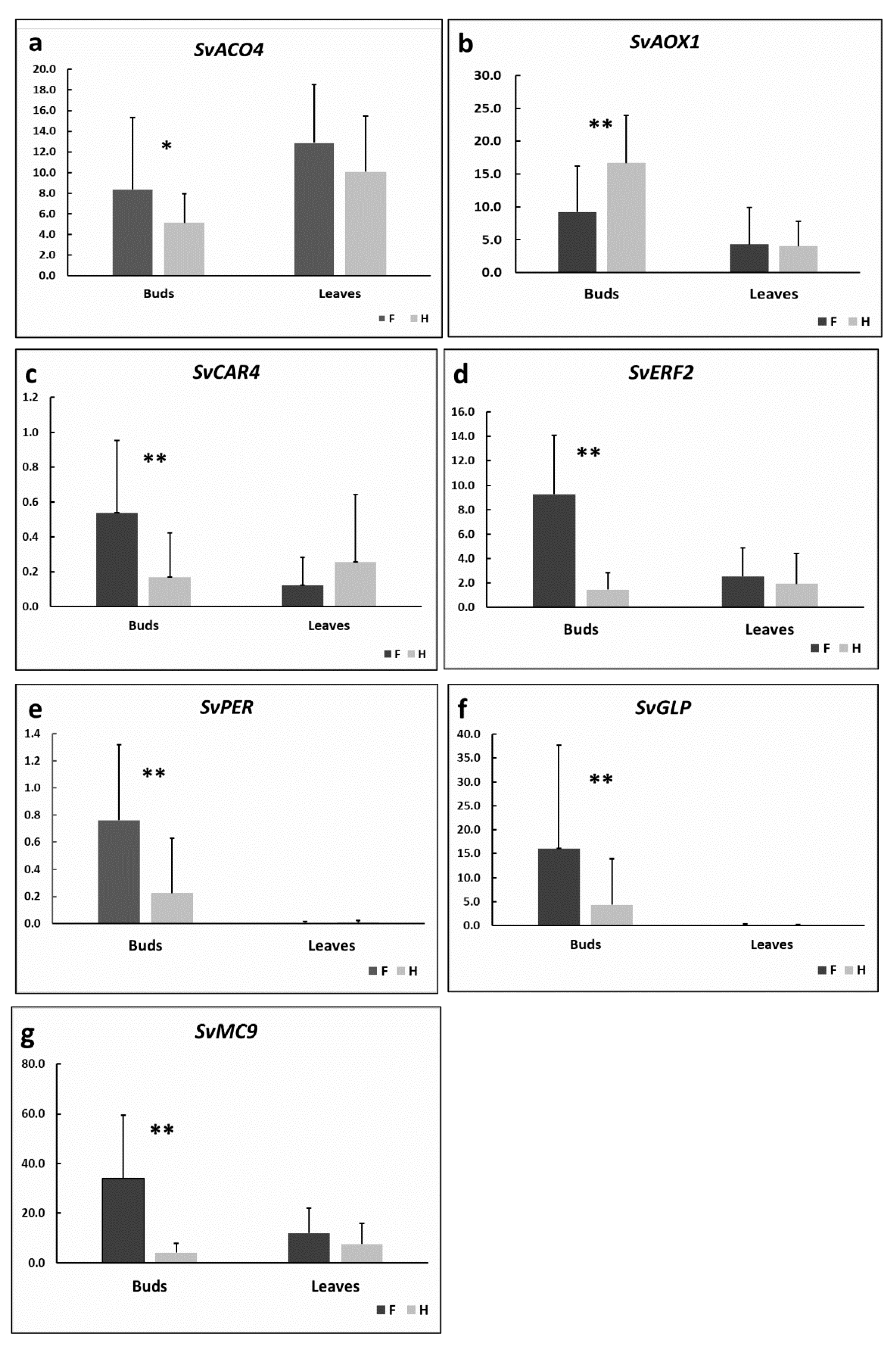 Cells 09 02700 g004 Cells 09 02700 g004
