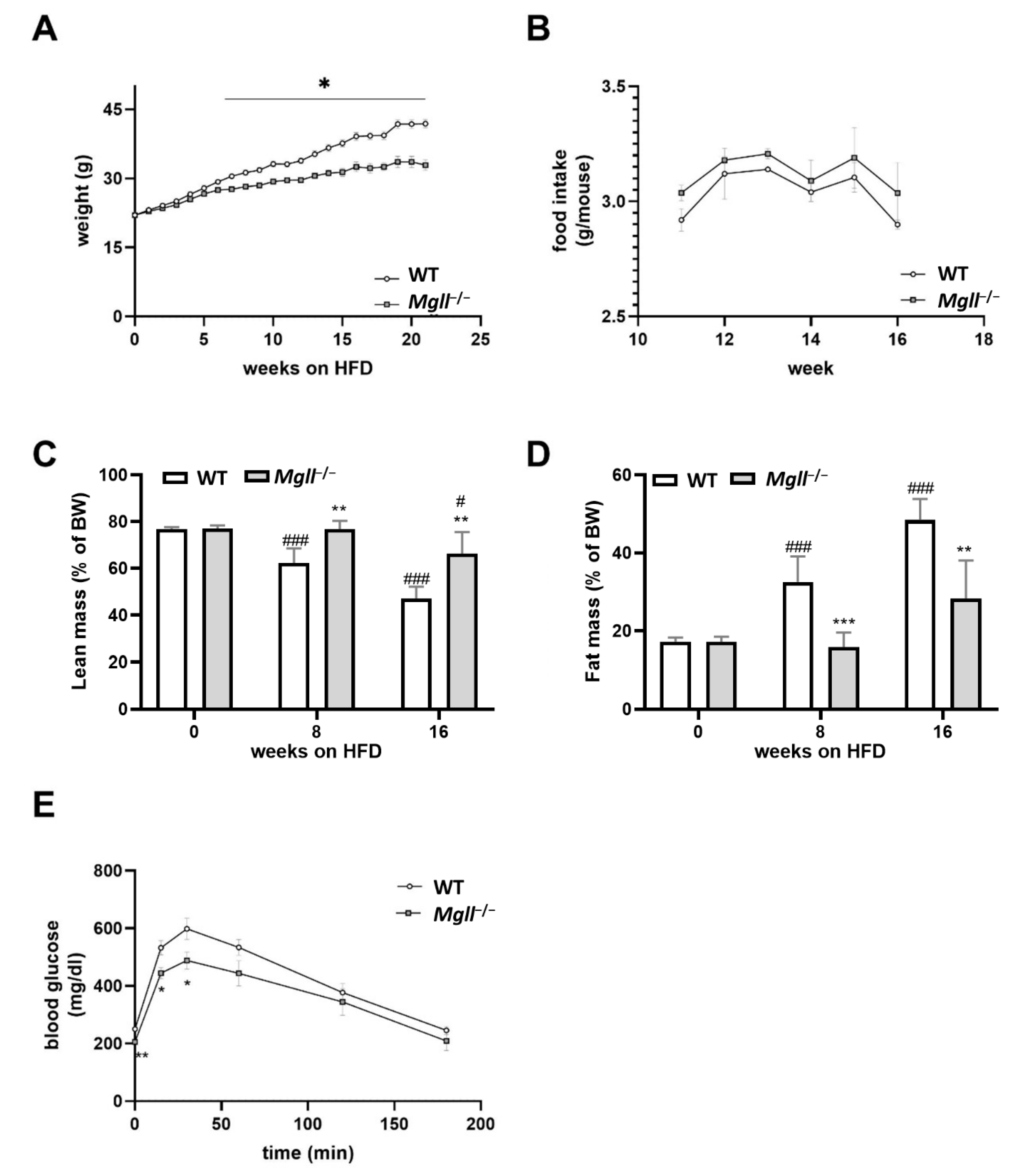 Cells 09 02705 g001 Cells 09 02705 g001