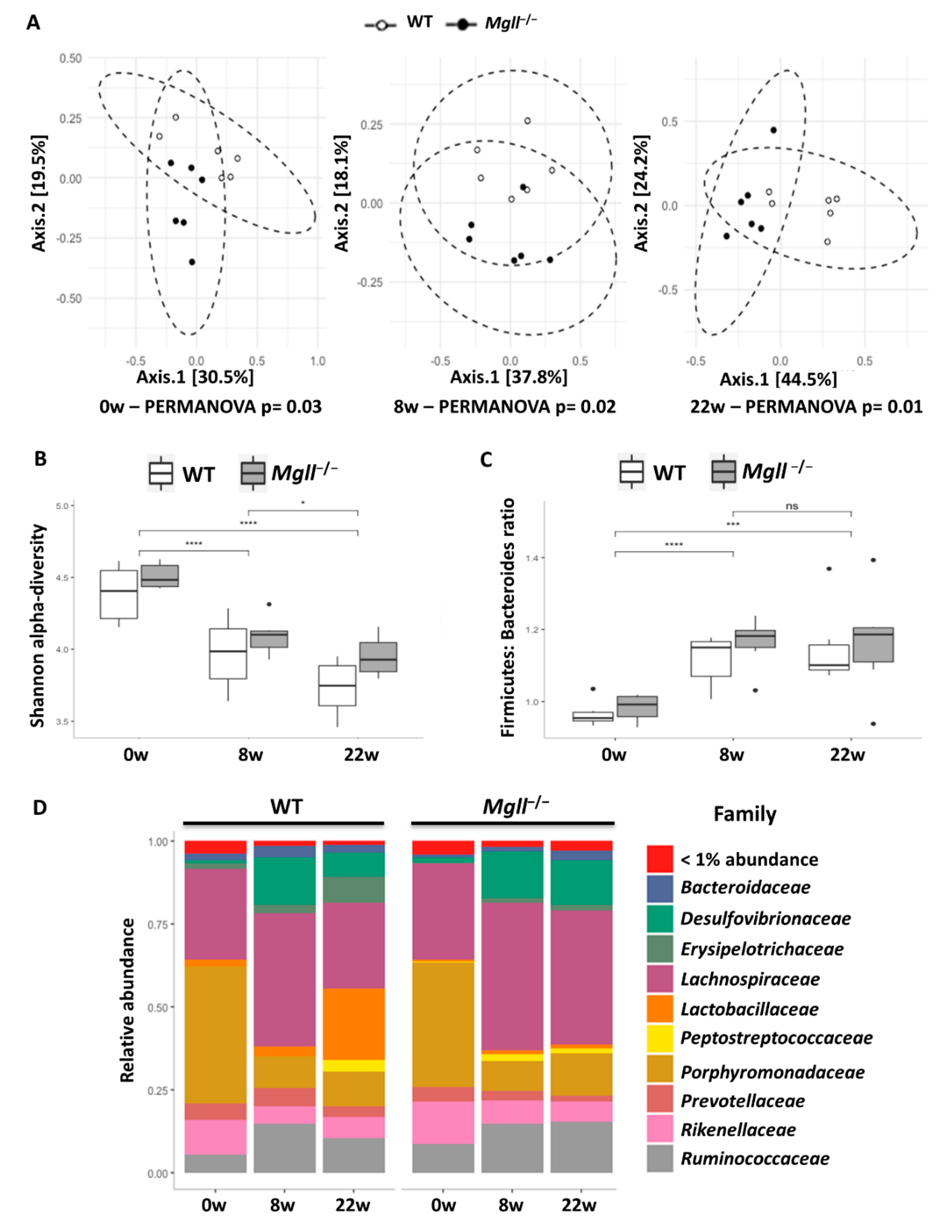 Cells 09 02705 g003 Cells 09 02705 g003