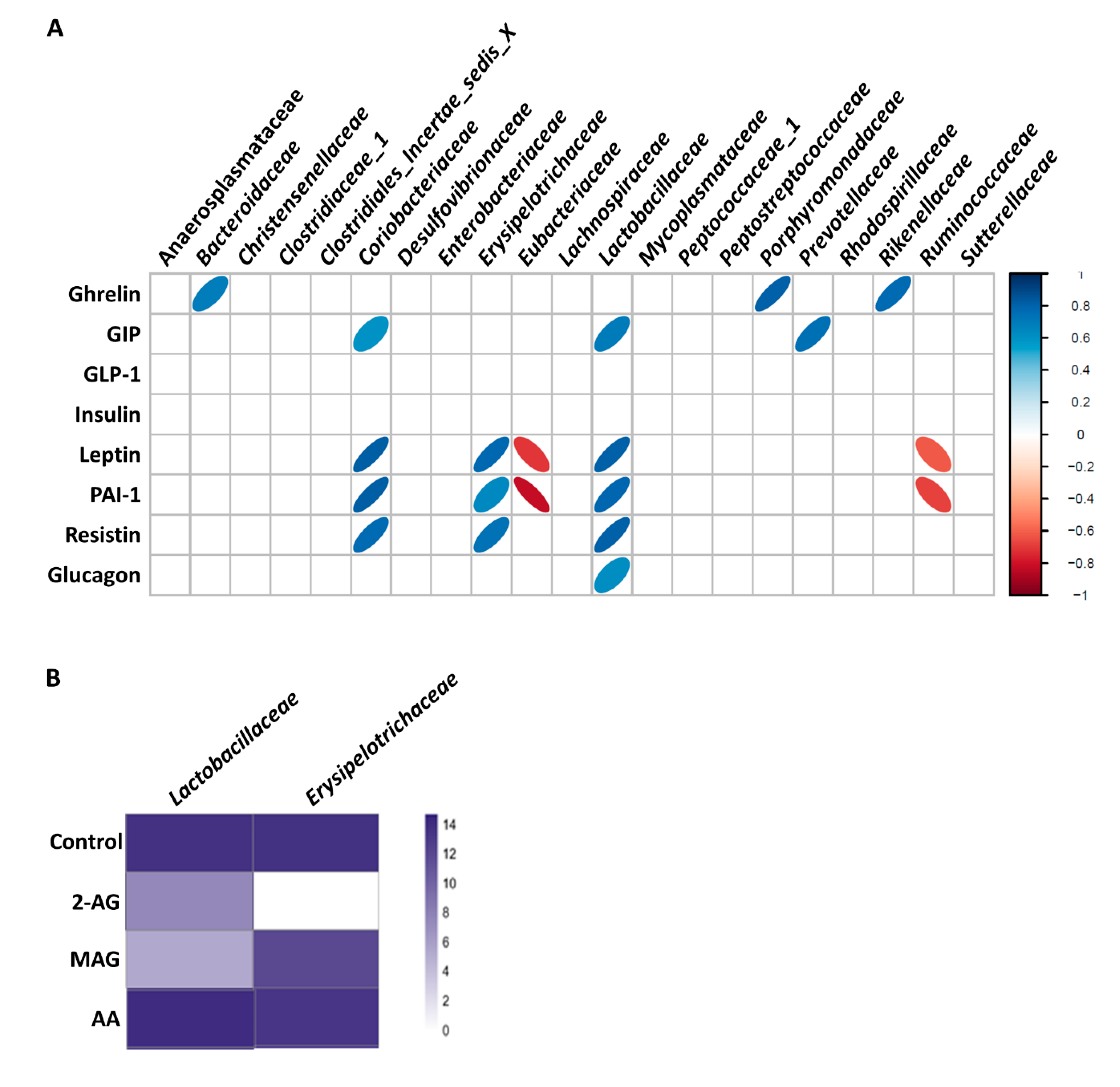 Cells 09 02705 g005 Cells 09 02705 g005