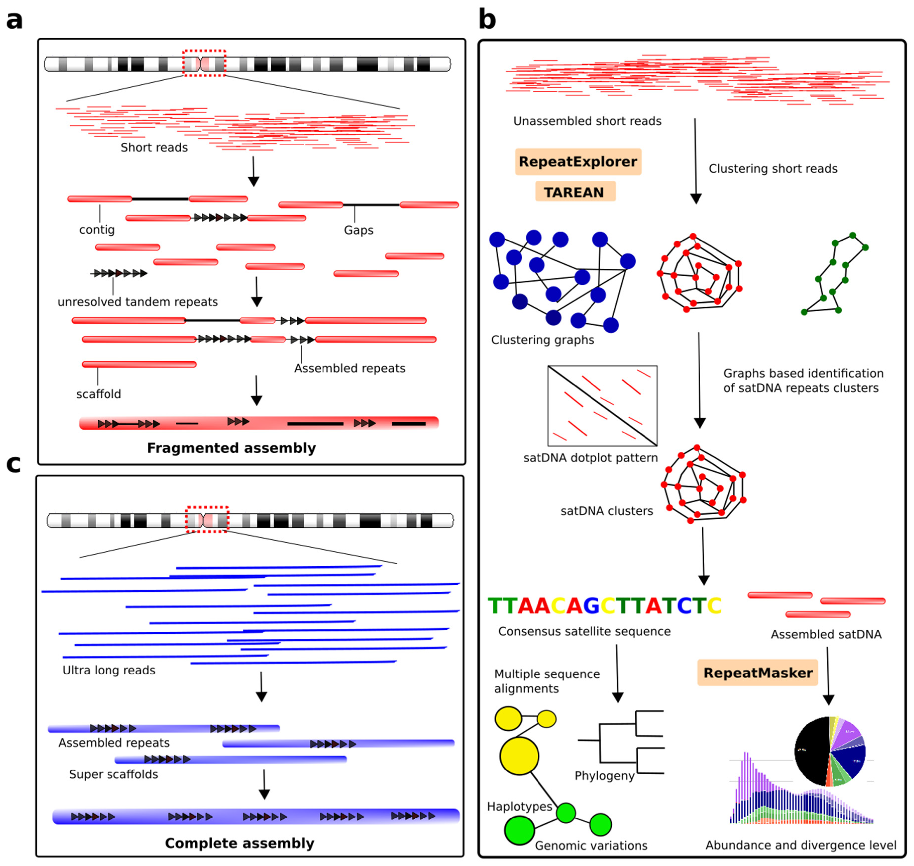 ape dna editor rna sequence