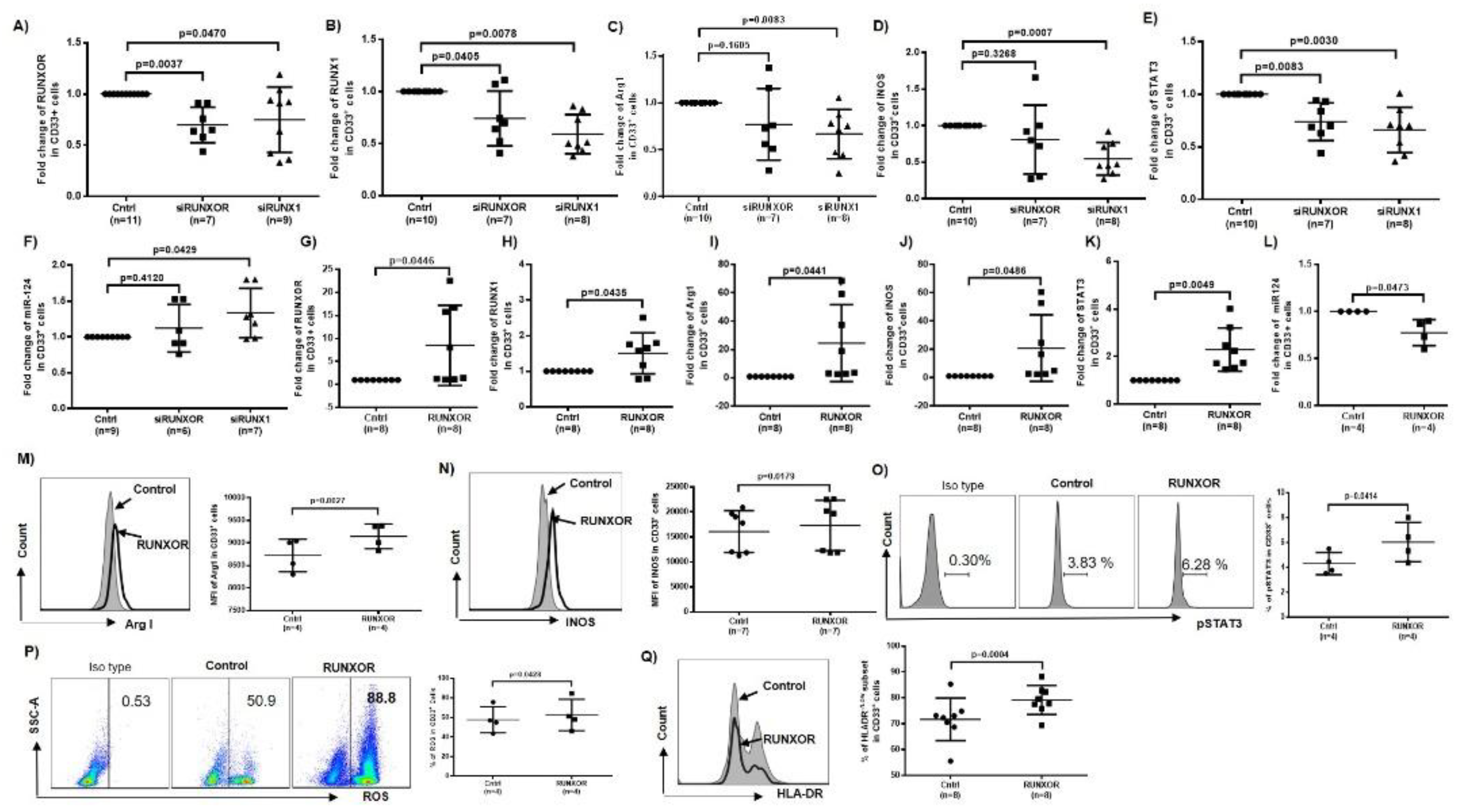 Cells 09 02715 g003 Cells 09 02715 g003
