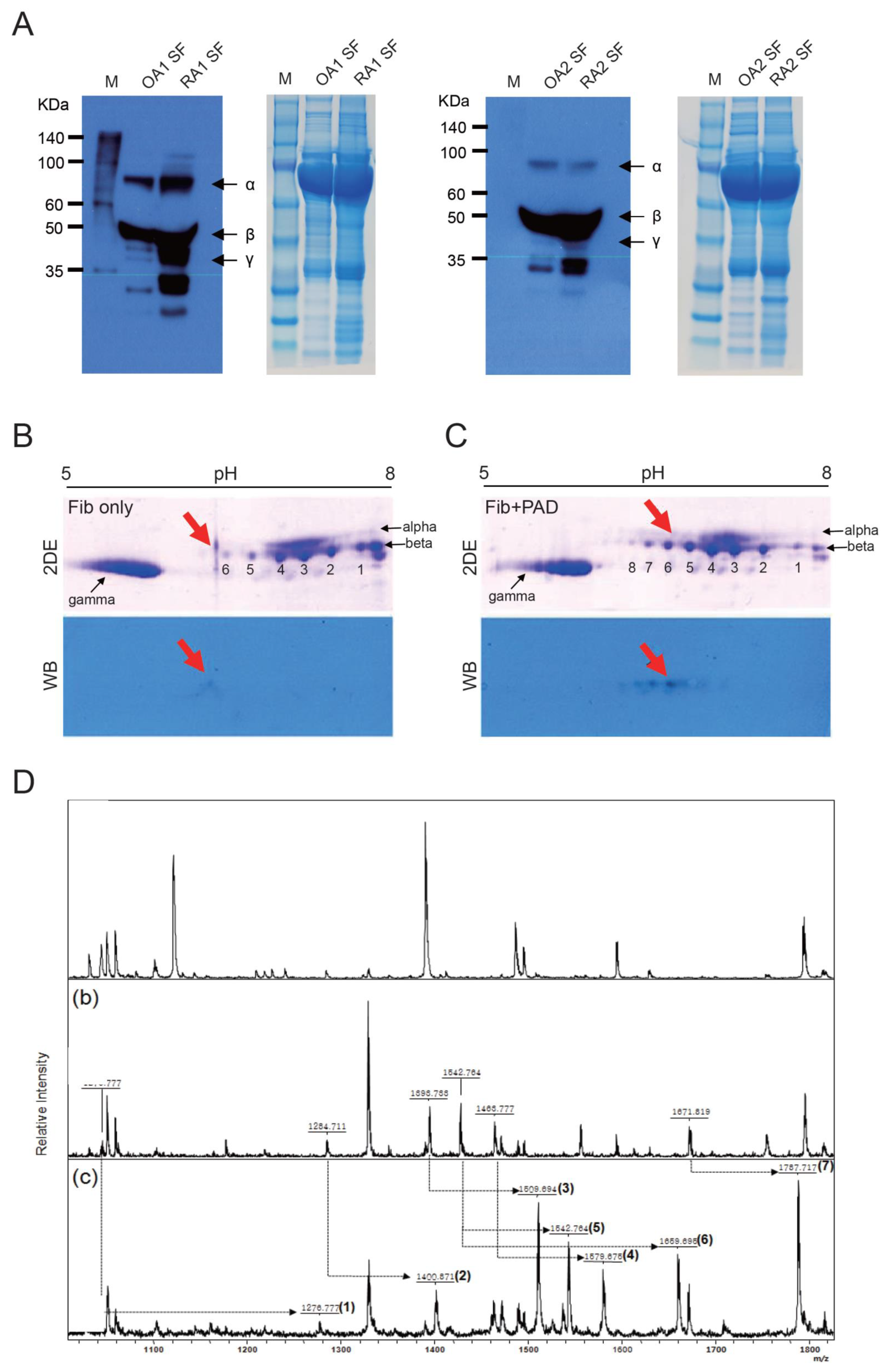 Cells 09 02720 g001