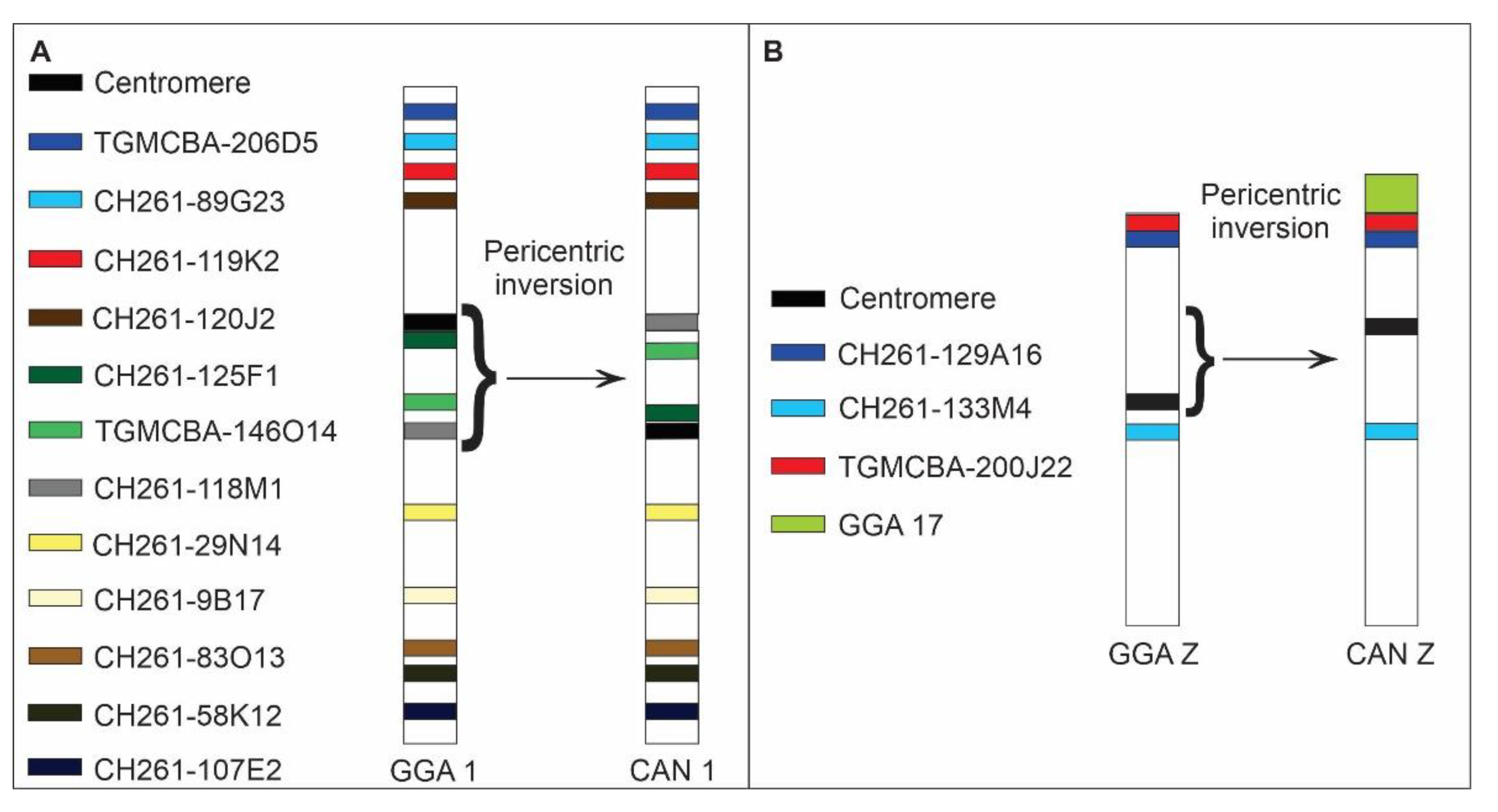 Cells 10 00004 g005 Cells 10 00004 g005