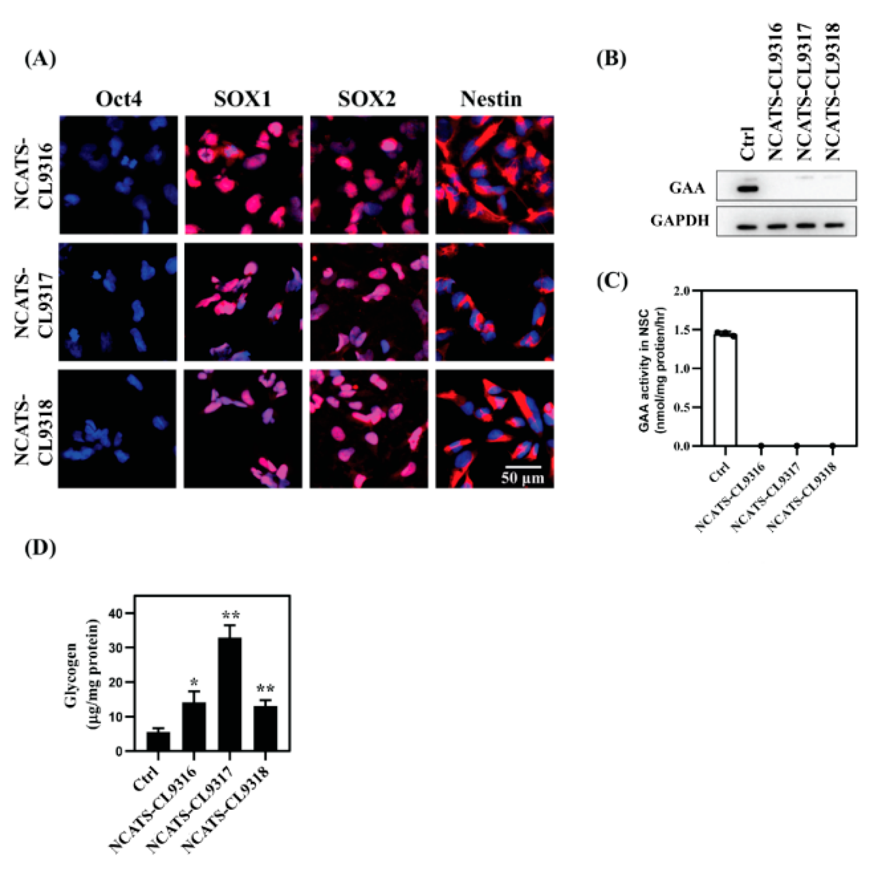 Cells 10 00008 g001