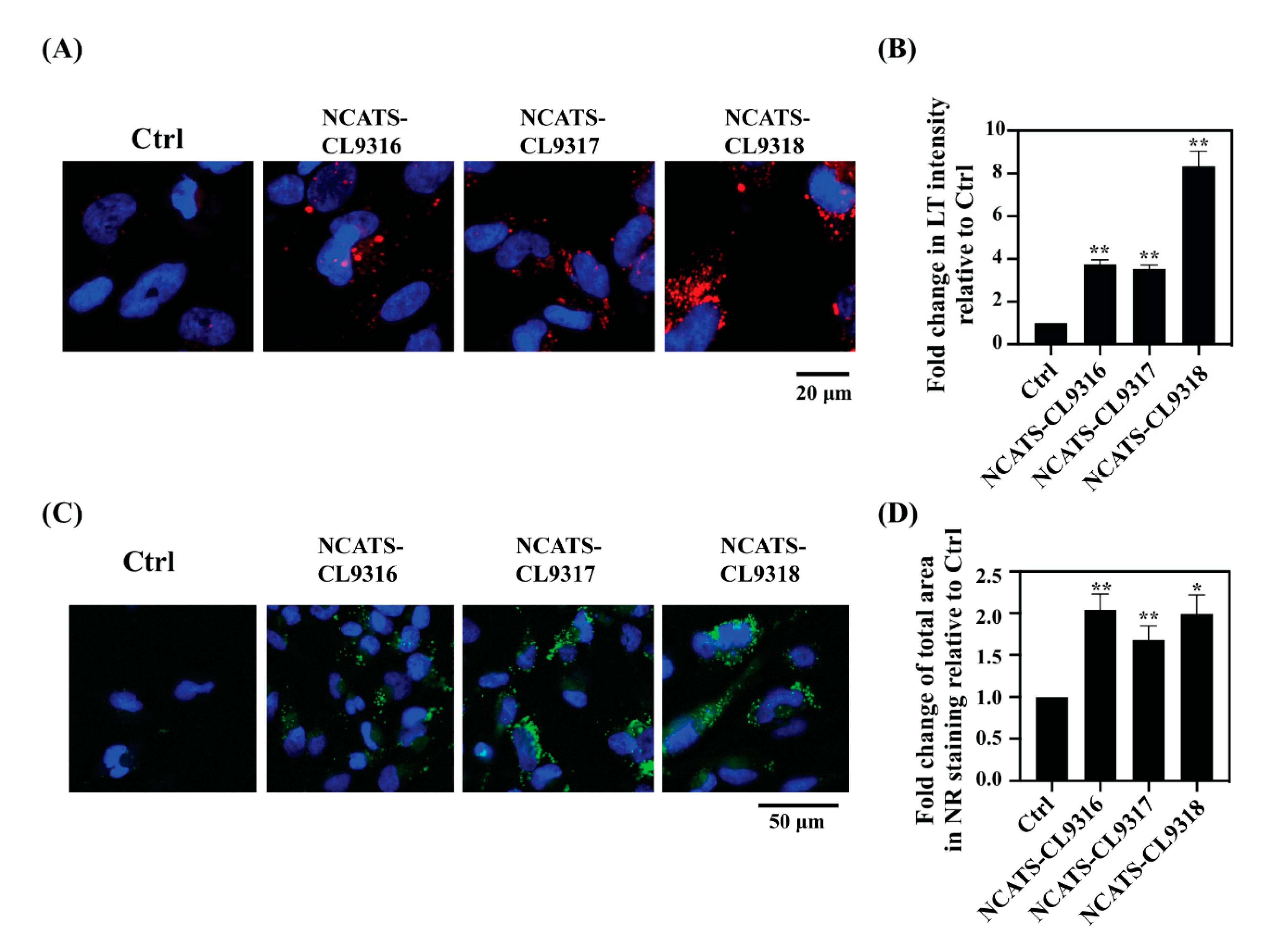 Cells 10 00008 g002