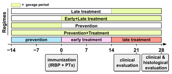 Cells Free Full Text Severity Of Experimental Autoimmune Uveitis Is Reduced By Pretreatment With Live Probiotic Escherichia Coli Nissle 1917 Html