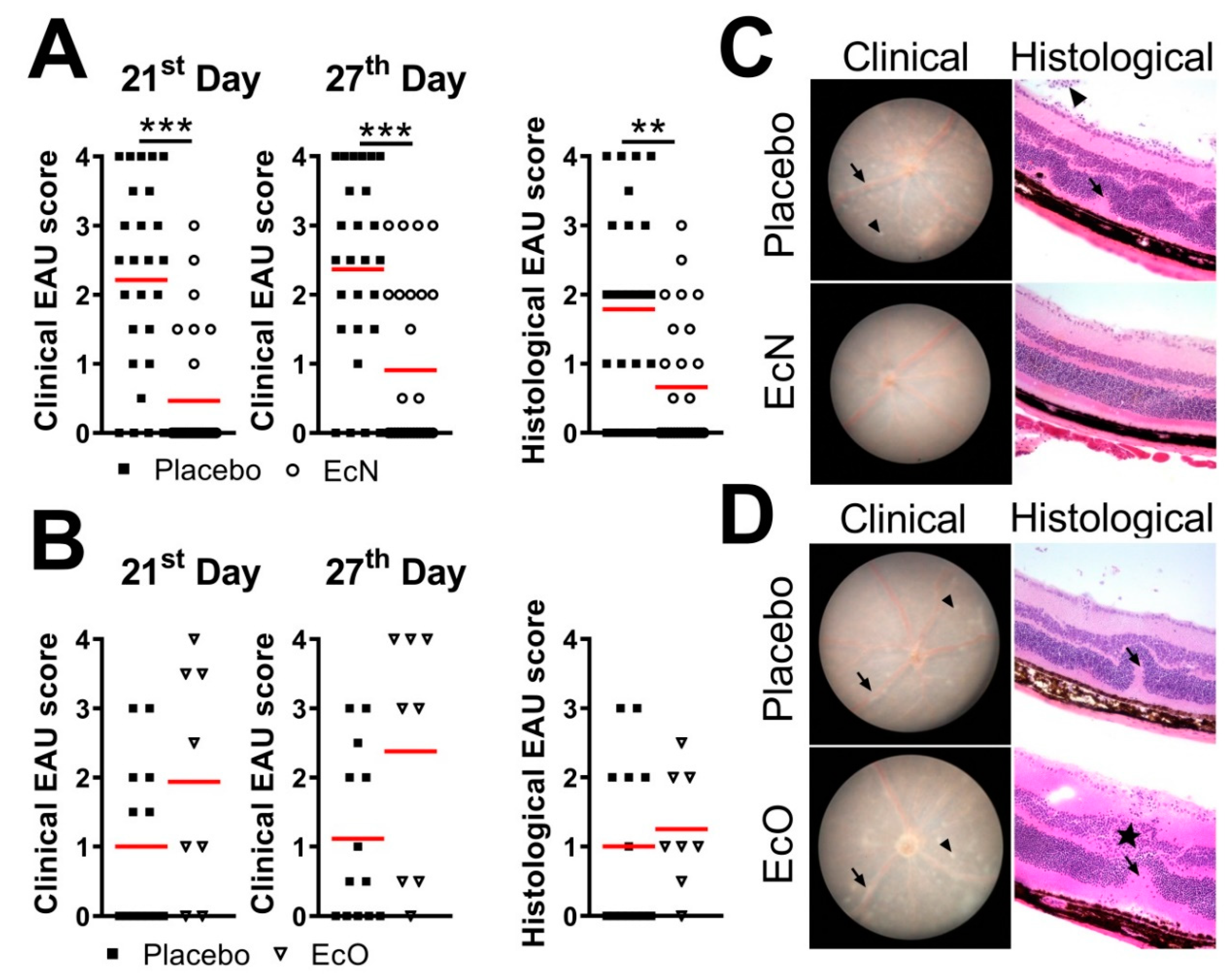 Cells 10 00023 g002 Cells 10 00023 g002