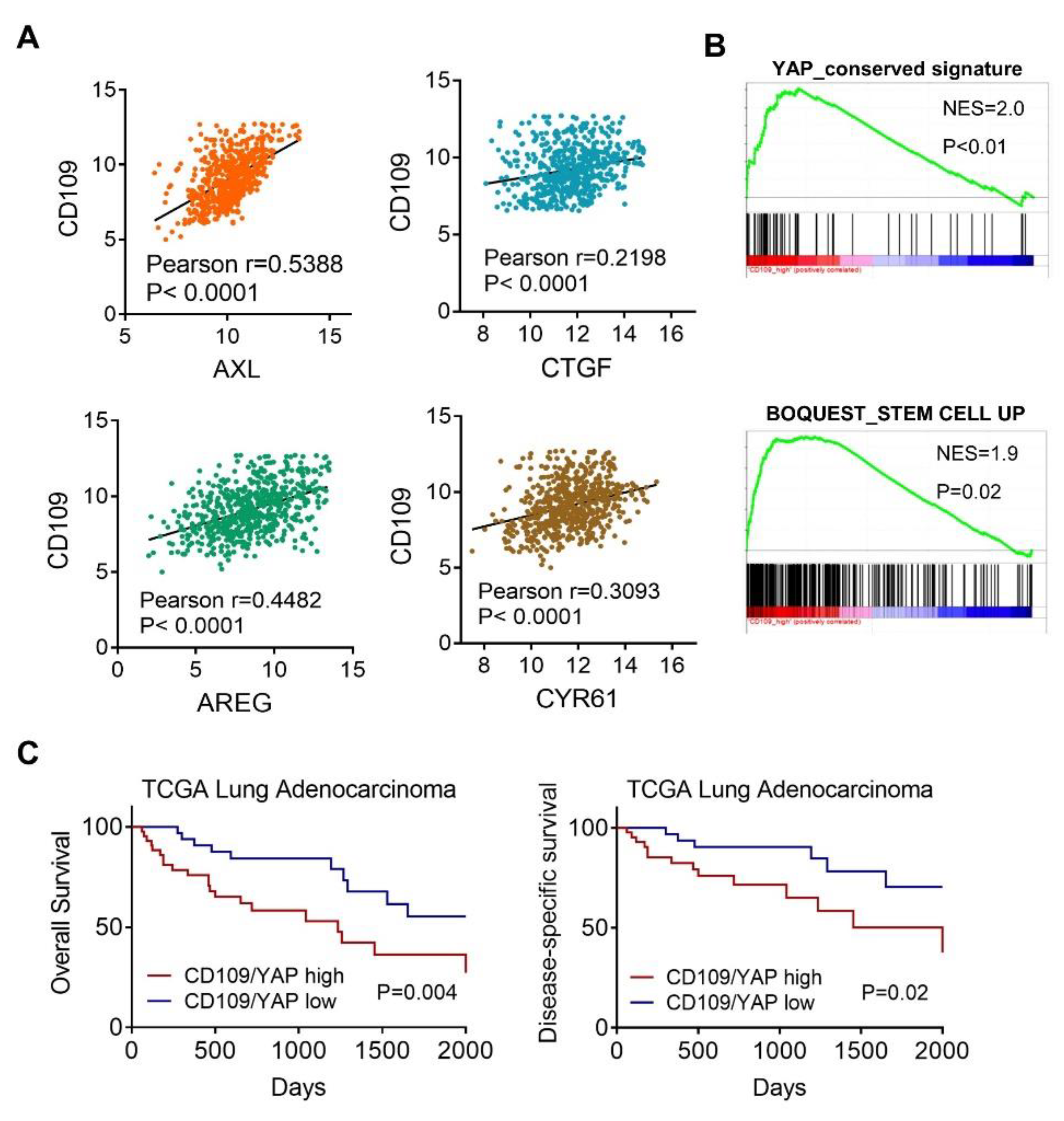 Cells 10 00028 g006 Cells 10 00028 g006